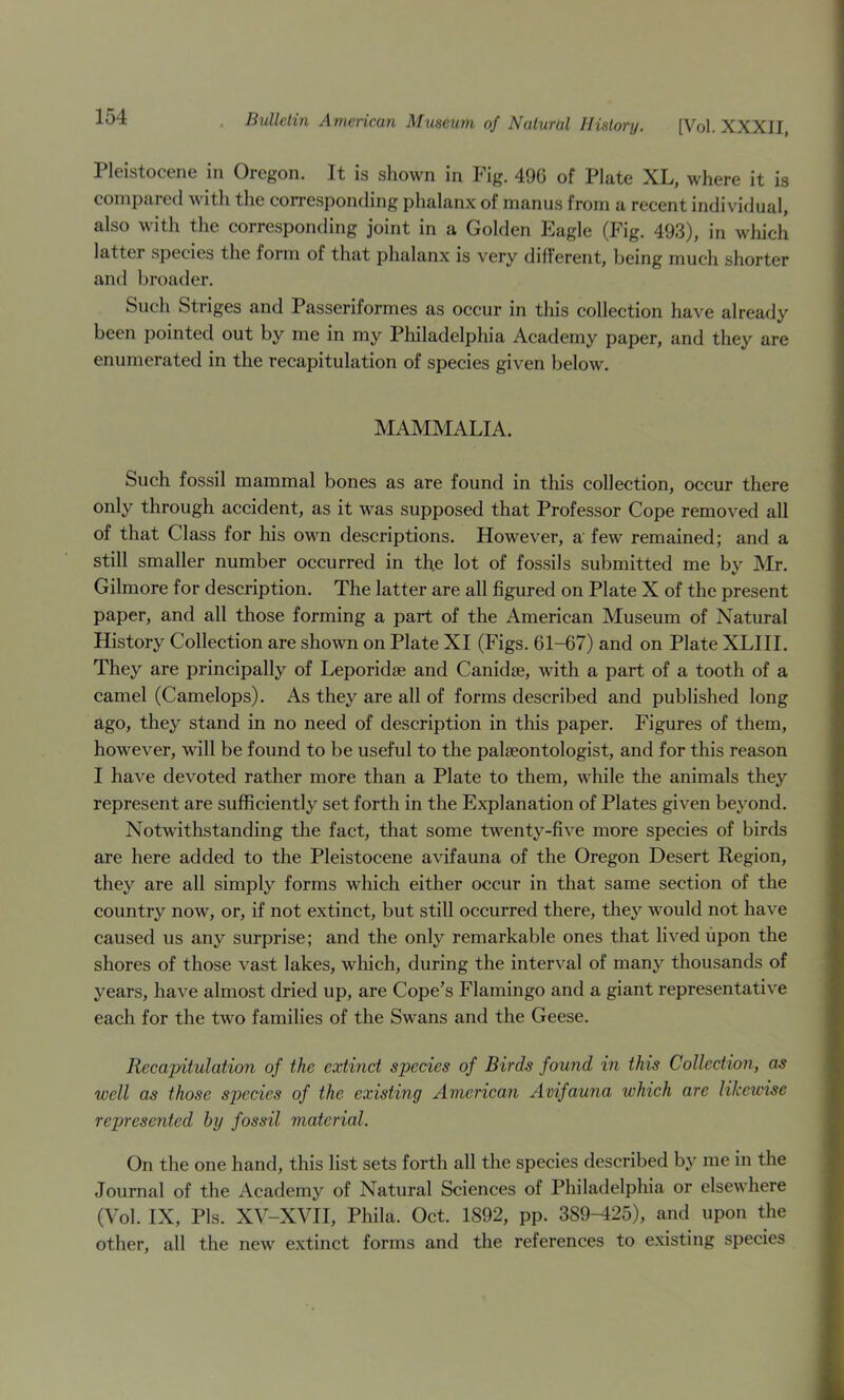 Pleistocene in Oregon. It is shown in Fig. 496 of Plate XL, where it is compared with the corresponding phalanx of manus from a recent individual, also with the corresponding joint in a Golden Eagle (Fig. 493), in which latter species the form of that phalanx is very different, being much shorter and broader. Such Striges and Passeriformes as occur in this collection have already been pointed out by me in my Philadelphia Academy paper, and they are enumerated in the recapitulation of species given below. MAMMALIA. Such fossil mammal bones as are found in this collection, occur there only through accident, as it was supposed that Professor Cope removed all of that Class for his own descriptions. However, a few remained; and a still smaller number occurred in the lot of fossils submitted me by Mr. Gilmore for description. The latter are all figured on Plate X of the present paper, and all those forming a part of the American Museum of Natural History Collection are shown on Plate XI (Figs. 61-67) and on Plate XLHL They are principally of Leporidse and Canidse, with a part of a tooth of a camel (Camelops). As they are all of forms described and published long ago, they stand in no need of description in this paper. Figures of them, however, will be found to be useful to the palteontologist, and for this reason I have devoted rather more than a Plate to them, while the animals they represent are sufficiently set forth in the Explanation of Plates given beyond. Notwithstanding the fact, that some twenty-fiA'e more species of birds are here added to the Pleistocene avifauna of the Oregon Desert Region, they are all simply forms which either occur in that same section of the country now, or, if not extinct, but still occurred there, they would not have caused us any surprise; and the only remarkable ones that lived upon the shores of those vast lakes, wliich, during the interval of many thousands of years, have almost dried up, are Cope’s Flamingo and a giant representative each for the two families of the Swans and the Geese. Recapitulation of the extinct species of Birds found in this Collection, as well as those species of the existing American Avifauna which are likeivise represented by fossil material. On the one hand, this list sets forth all the species described by me in the Journal of the Academy of Natural Sciences of Philadelphia or elsewhere (Vol. IX, Pis. XV-XVH, Phila. Oct. 1892, pp. 389-425), and upon the other, all the new extinct forms and the references to existing species