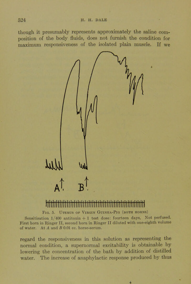 though it presumably represents approximately the saline com- position of the body fluids, does not furnish the condition for maximum responsiveness of the isolated plain muscle. If we At Fig. 5. Uterus of Virgin Guinea-Pig (both horns) Sensitisation 1/400 antitoxin + 1 test dose: fourteen days, Not perfused. First horn in Ringer II, second horn in Ringer II diluted with one-eighth volume of water. At A and B 0.01 cc. horse-serum. regard the responsiveness in this solution as representing the normal condition, a supernormal excitability is obtainable by lowering the concentration of the bath by addition of distilled water. The increase of anaphylactic response produced by thus