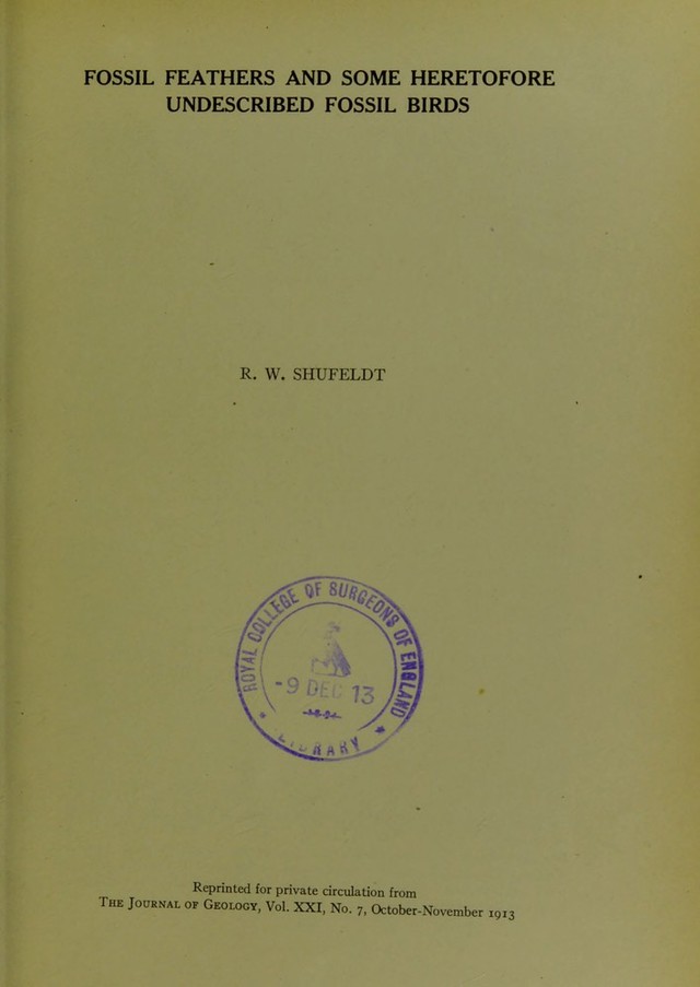 digitised image 3