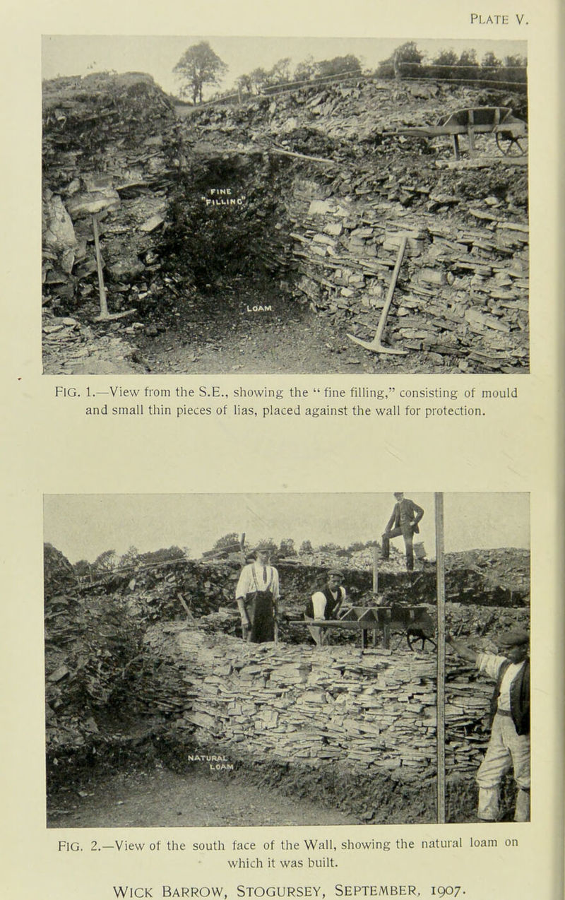 FlG. 1.—View from the S.E., showing the “ fine filling,” consisting of mould and small thin pieces of lias, placed against the wall for protection. FIG. 2.—View of the south face of the Wall, showing the natural loam on which it was built. Wick Barrow, Stogursey, September, 1907.