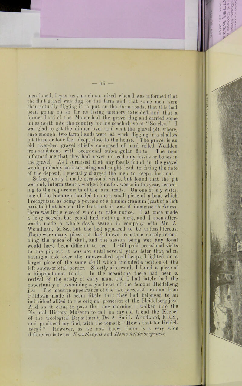 the flint gravel was dug on the farm and that some men were then actually digging it to put on the farm roads, that this had been going on so far as living memory extended, and that a former Lord of the Manor had the gravel dug and carried some miles north into the country for his coach-drive at “Searles.” I was glad to get the dinner over and visit the gravel pit, where, sure enough, two farm hands were at work digging in a shallow pit. three or four feet deep, close to the house. The gravel is an old river-bed gravel chiefly composed of haul rolled Wealden iron-sandstone with occasional sub-angular flints The men informed me that they had never noticed any fossils or bones in the gravel. As I surmised that any fossils found in the gravel would probably be interesting and might lead to fixing the date of the deposit, I specially charged the men to keep a look out. Subsequently I made occasional visits, but found that the pit was only intermittently worked for a few weeks in the year, accord- ing to the requirements of the farm roads. On one of my visits, one of the labourers handed to me a small piece of a bone which I recognised as being a portion of a human cranium (part of a left parietal) but beyond the fact that it was of immense thickness, there was little else of which to take notice. I at once made a long search, but could find nothing more, and I soon after- wards made a whole day’s search in company with Mr. A. Woodhead, M.Sc., but tbe bed appeared to be unfossiliferous. There were many pieces of dark brown ironstone closely resem- bling the piece of skull, and the season being wet, any fossil would have been difficult to see. I still paid occasional visits to the pit, but it was not until several years later that, when having a look over the rain-washed spoil heaps, I lighted ou a larger piece of the same skull which included a portion of the left supra-orbital border. Shortly afterwards I found a piece of a hippopotamus tooth. In the meantime there had been a revival of the study of early man, and I had lately had the opportunity of examining a good cast of the famous Heidelberg jaw. The massive appearance of the two pieces of cranium from Piltdown made it seem likely that they had belonged to an individual allied to the original possessor of the Heidelberg jaw. And so it came to pass that one morning 1 walked into the Natural History Museum to call on my old friend the Keeper of the Geological Department, Dr. A. Smith Woodward, F.R.S., and produced my find, with the remark “ How’s that for Heidel- berg ? ” However, as we now know, there is a very wide difference between Eoanthropus and Homo heidelbergetisis.
