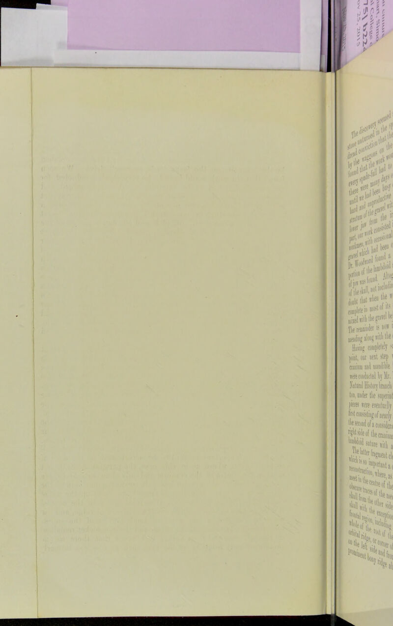 print, our next step \ tttum awl mandible1 were conducted by Mr.' Xalunil History bmucb Ion, miner (lie superint 1« were evenfimJly llie sccund of a consiricru cranium suture rviili **■>*,, *;.|J •(elf..*«m» J