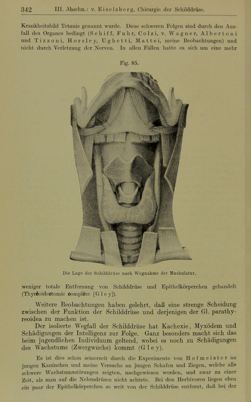 Krankheitsbild Tetanie genannt wurde. Diese schweren Folgen sind durch den Aus- fall des Organes bedingt (Schiff, F uhr, C o 1 /, i, v. Wagner, Albertoni und T i z z o n i, H o r s 1 e y, U g h e 11 i, M a 11 e i, meine Beobachtungen) und nicht durch Verletzung der Nerven. In allen Fällen hatte es sich um eine mehr Fig. 85. Die Lage der Schilddrüse nach Wegnahme der Muskulatur. weniger totale Entfernung von Schilddrüse und Epithelkörperchen gehandelt (Thyr^oideotomie oomplöte [G 1 e y]). Weitere Beobachtungen haben gelehrt, daß eine strenge Scheidung zwischen der Funktion der Schilddrüse und derjenigen der Gl. parathy- reoidea zu machen ist. Der isolierte Wegfall der Schilddrüse hat Kachexie, Myxödem und Schädigungen der Intelligenz zur Folge. Ganz besonders macht sich das beim jugendlichen Individuum geltend, wobei es noch zu Schädigungen des Wachstums (Zwergwuchs) kommt (Gley). Es ist dies schon seinerzeit durch die Experimente von Hofmeister an jungen Kaninchen und meine Versuche an jungen Schafen und Ziegen, welche alle schwere Wachstumsstörungen zeigten, nachgewiesen worden, und zwar zu einer Zeit, als man auf die Ncbendriison nicht achtete. Bei den Herbivoren liegen eben ein paar der Epithelkörperchen so weit von der Schilddrüse entfernt, daß bei der