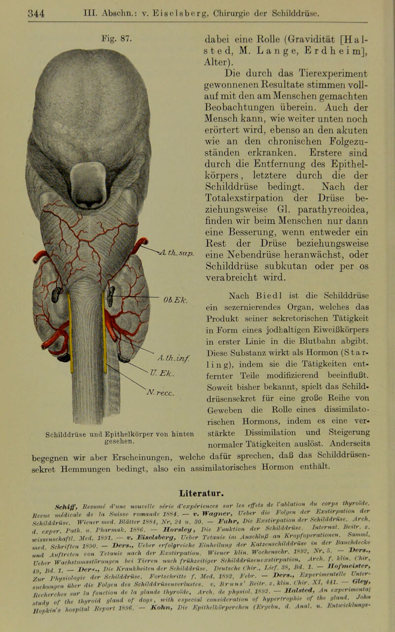 Fig. 87. dabei eine Rolle (Gravidität [Hal- sted, M. Lange, E r d h e i m], Alter). Die durch das Tierexperiment gewonnenen Resultate stimmen voll- auf mit den am Menschen gemachten Beobachtungen überein. Auch der Mensch kann, wie weiter unten noch erörtert wird, ebenso an den akuten wie an den chronischen Folgezu- ständen erkranken. Erstere sind durch die Entfernung des Epithel- körpers , letztere durch die der Schilddrüse bedingt. Nach der Totalexstirpation der Drüse be- ziehungsweise Gl. parathyreoidea, finden wir beim Menschen nur dann eine Besserung, wenn entweder ein Rest der Drüse beziehungsweise eine Nebendrüse heranwächst, oder Schilddrüse subkutan oder per os verabreicht wird. Schilddrüse und Epithelkörper von hinten gesehen. begegnen wir aber Erscheinungen, sekret Hemmungen bedingt, also ein Nach Biedl ist die Schilddrüse ein sezernierendes Organ, welches das Produkt seiner sekretorischen Tätigkeit in Form eines jodhaltigen Eiweißkörpers in erster Linie in die Blutbahn abgibt. Diese Substanz wirkt als Hormon (Star- 1 i n g), indem sie die Tätigkeiten ent- fernter Teile modifizierend beeinflußt. Soweit bisher bekannt, spielt das Schild- drüsensekret für eine große Reihe von Geweben die Rolle eines dissimilato- rischen Hormons, indem es eine ver- stärkte Dissimilation und Steigerung normaler Tätigkeiten auslöst. Anderseits sprechen, daß das Schilddrüsen- Hormon enthält. welche dafür assimilatorisches Literatur. Schiff, Resumd li’une nouvelle sdrie d’expiriences sur Jen effets de lablation du corps thyro'ide. Revue midi edle de Id Stlisse romande 1884. — v. Wagner, üeber die Folgen der Exstirpation der Schilddrüse. Wiener med. Blätter 1884, Nr. 24 u. 30. — Fuhr, Die Exstirpation der Schilddrüse. Arch. d exper. Path. u. Pharmak. 1886. — Florsley, Die Funktion der Schilddrüse. Internat. Beitr. z. Wissenschaftl. Med. 1891. — v. Fiseisberg, Ueber Tetanie im Anschluß an Kropfoperationen. Sauuni. med. Schriften 1890. — J)ers., Ueber erfolgreiche Einheilung der Kattenschilddrüse in der Bauchdecke und Auftreten von Tetanie nach der Exstirpation. Wiener klin. Woehenschr. 1892, 2*r. 5. Ders., Ueber Wachstumsstörungen bei Tieren nach frühzeitiger Schilddrüsenexstirpation. Arch. f. klin. thir. 4!l Bd 1 Fers., Die Krankheiten der Schilddrüse. Deutsche Chir., Lief. 38, Bd. 1. Hofmeister, Zur Physiologie der Schilddrüse. Fortschritte f. Med. 1892, Febr. — Fers., Experimentelle Unter- suchungen über die Folgen des Schilddrüsenverlustes. v. Bruns’ Beitr. z. klin. Chir. XI, 441. Gley, Recherches sur la fonction de la glande thyro'ide. Arch. de phgsiol. 1892. — Halsted, An experimental , 0f (he thyroid gland of dogs, with especial consideration of hypertrophie of the gland. John Ilopkin’s hospital Report 1896. — Mohn, Die Epithelkörperchen (Ergehn, d. Anal. u. Entwicklungs-