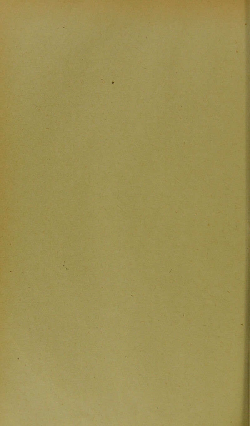 N - ' ‘ ,* •- ... . .* ‘ • x i * ♦ 9