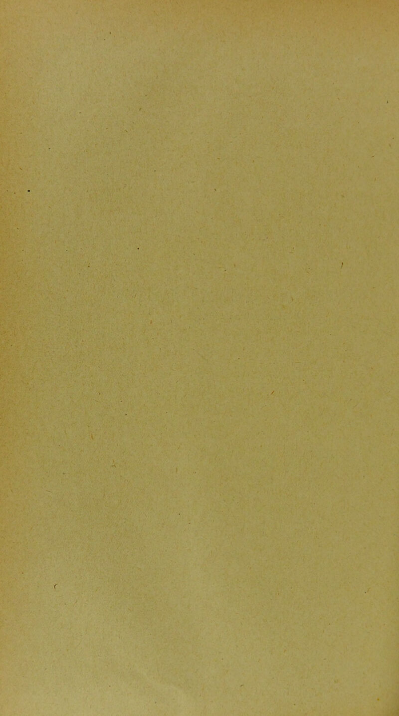 'v \- ;'* • U' ' ■ -, •■■'■:'■.• r if ■irir-.< ■ - » ■ * ' * * . V *-v. ^ S *. , f- , ?v* ; ‘ * : ! ' '■ - . . f , .'< 'V'< , ■• --- ; Vv -s<!-r ’ '^r ' » .♦ J •■. . ii r-.'-fv -J, ' ^ . V:'^- . V !.'. -ï,- Ky.é^:-'>&'Af - :•' J. V- ^^^H:■ 5:''.-• ^ ■■.i' v . -• ■ -.. .■ V - y. . • ' •■.. .f -,'■ ■ ■ r;\. ..( V'^-' 'r-:' ' -'V - V'- . . '.■ '>,. 'i :: - V - .y .. V' ^)-,v'. ■:'■■ ' ■. »,.!■■ .■' • - ,î ;T;. ' •. .. Çf'i-r. ’ . ^- '■ ■ ■ 1&:'T*’''■ •'i'-'■’■-“/• ‘■^4/ ‘-{' ^ 'v: ■■■ ' '• ' • i ■-' - . •' /i- '• - ^ •'^■■^r \ A-, -A feA.y. ï-A' r ' A-' '.■ *■ V . ,— . ,w J/,‘ y \ >,• ■-•::.'y - .' ri './ ..; ■ ■ ',- /‘ '/ '-1 •'* ■■ ,.,■' ’ÿ f- ÂÀ' :■>■-'if'y.'' '■ ■' ::': ;r•■'v;:;ÿ, • ' . '•,' ■ ' K-vt-À;.,-. ivirv j '-.v..'' - '. .. ' : '---■. .,. V. ■ ■' y.. • 'f ' ‘ v' „■ ' ■ '■’■ iv--' mk,;:;. a,.;., ;.■ ■ ••■' • ' ^ ■ •-,■'■■ ' ' ' ‘ ''Al-'.-i'Y-v.. ' )^■.’, • , • - . \ -J-, J. y • k . . I ■ ^ 'i' •V I V^Va •y 'f , -• . . ,C. •-.* -',•>. ' ‘ ' . 1 ' ' A i  Af; .'1 ,1 ••J