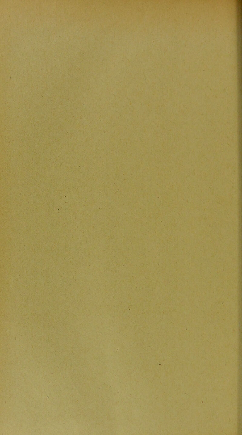 ■l'ïv-; V • - • V V mïù.:. ' ■£■■> ' '■ '■ V ^'-i' ' ' ♦.r-' ' v'' • ''• ^’ '■-'vU..'. '’c ■ • /•,/.,^- Y'.'.'^ ■ .'■; .. ®riifevv.;! - •• ';•. ■... •• ■ Ë'W .r V--V-- •■•■■'i'::: /;. T- ■'*' ES-'-- '' . y.-*ys-irs:.vV -•■.'-Uii•.'■' ■.• ■ . ..’ . ' ' .■ •• \ * ••' *“ •‘^^^'-' ■' ' ’'-'S> ' '’ -t' >•'■ •■»'!, *^V ' ■. -^ ■; - ; ^ ; , : ..y,;-. .', '■ îi;>/■v^^,-': 'V-.v'-'- ; ^ ' ’i*' ■ ' ' ' ’ ■ .'* '\ ''. '. '^-'i' . ■ '. : ' ,'■ ■ , ■' • • . ,.- f 7^, X ^ K' t * 4' ' •>••>• ;•'•’» » * ?• i ■ ‘ n’ ' < K ■'.■■■■-•• *‘'*5' ‘ >V\V‘:v •• . . < ••''■ ■’v:.-- '. , • '• , _• ^ ,y '' ■* •*• /**  '■ ■ ^ V’ îl’ • ■*' ■■' ' \'' s'^''•'’. ^. V ' ' ’ y- : ■ . ' • r,. , J- ■ •^[y ^ y-':'ÿ ■•■ ■.'. - y - '. / Hî/1 ■>. .y .
