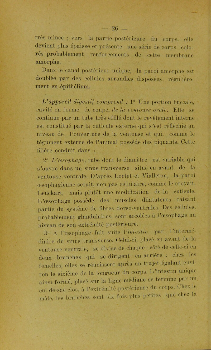 très mince ; vers la partie postérieure du corps, elle devient plus épaisse et présente une série de corps colo- rés probablement renforcements de cette membrane amorphe. Dans le canal postérieur unique, la paroi amôrpbe est doublée par des cellules arrondies disposées régulière- ment en épithélium. L’appareil digestif comprend : 1° Une portion buccale, cavité en forme de coupe, de la ventouse orale. Elle se continue par un tube très effilé dont le revêtement interne est constitué par la cuticule externe qui s’est réfléchie au niveau de l’ouverture de la ventouse et qui, comme le tégument externe de l’animal possède des piquants. Cette filière conduit dans : 2° L’œsophage, tube dont le diamètre est variable qui s’ouvre dans un sinus transverse situé en avant de la ventouse ventrale. D’après Lortet et Vialleton, la paroi œsophagienne serait, non pas cellulaire, comme le croyait, Leuckart, mais plutôt une modification de la cuticule. L’œsophage possède des muscles dilatateurs faisant partie du système de fibres dorso-ventrales. Des cellules, probablement glandulaires, sont accolées à 1 œsophage au niveau de son extrémité postérieure. 3° A l’œsophage fait suite l’intestin par l’intermé- diaire du sinus transverse. Celui-ci, placé en avant de la ventouse ventrale, se divise de chaque côté de celle-ci en deux branches qui se dirigent en arrière : chez les femelles, elles se réunissent après un trajet égalant em i- ron le sixième de la longueur du corps. L’intestin unique ainsi formé, placé sur la ligne médiane se termine par un cul-de-sac clos, à l’extrémité postérieure du corps. Citez le mâle, les branches sont six fois plus petites que chez la