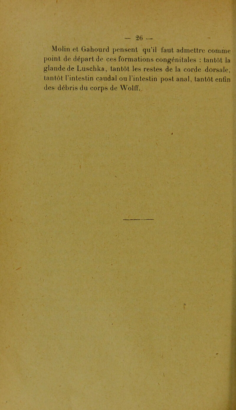 I — 26 — Molin et Gahourd pensent qu’il faut admettre comme point de départ de ces formations congénitales : tantôt la glande de Luschka, tantôt les restes de la corde dorsale, tantôt l’intestin caudal ou l’intestin post anal, tantôt enfin des débris du corps de Wolff. I \ / » ^ ! /