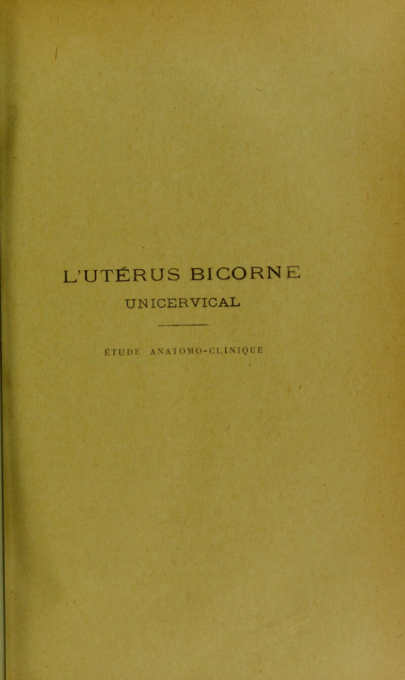 L’UTÉRUS BIGORNE UNICERVICAL ÉTUDE ANATOMO-CLINIQUE à