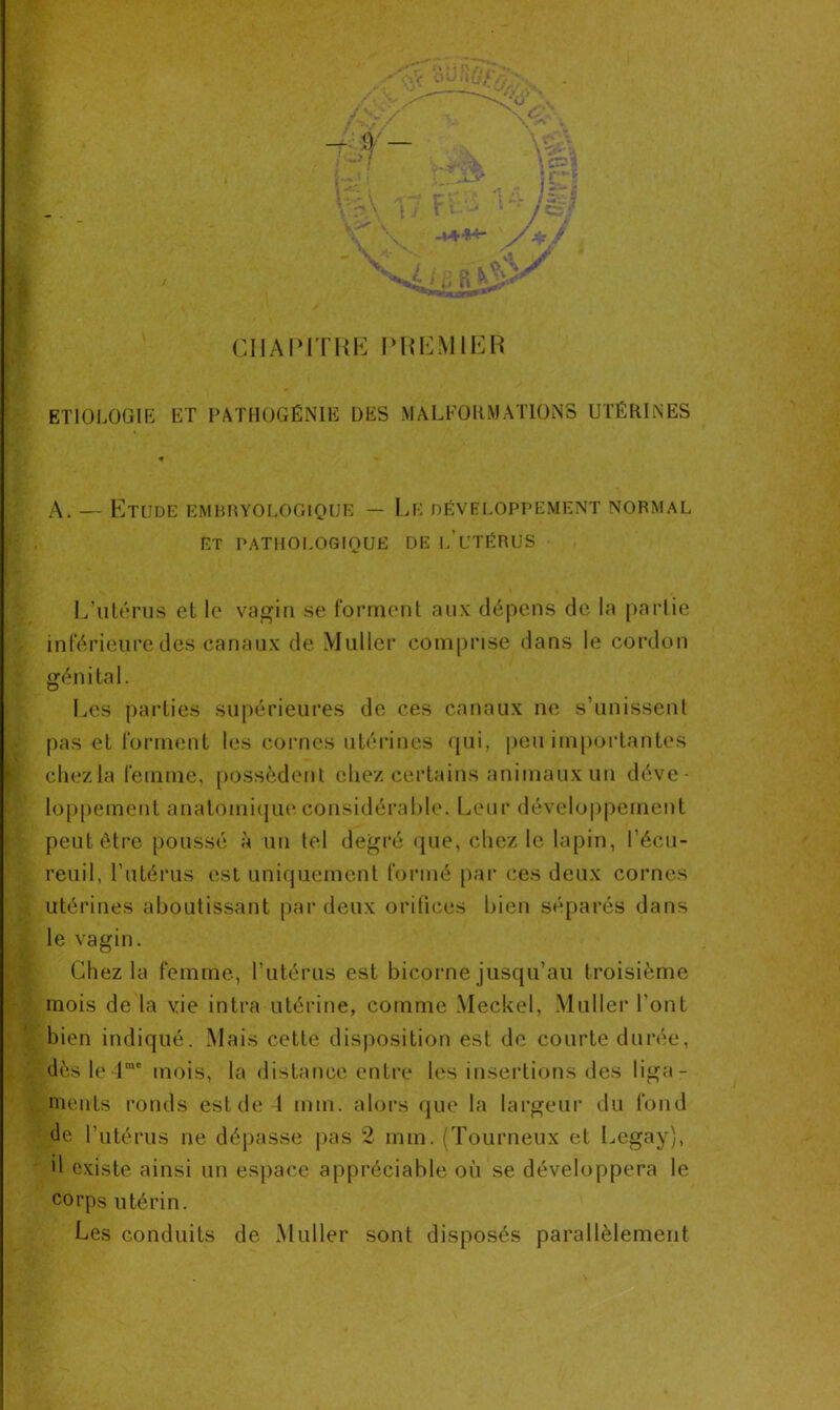 i CHAPITRE PREMIER ETIOLOGIE ET PATHOGÉNIE UES MALFORMATIONS UTÉRINES * A. — Etude embryologique — Le développement normal ET PATHOLOGIQUE DE l/UTËRUS L’utérus et le vagin se forment aux dépens de la partie inférieure des canaux de Muller comprise dans le cordon gén i ta 1. Les parties supérieures de ces canaux ne s’unissent pas et forment les cornes utérines qui, peu importantes chez la femme, possèdent chez certains animaux un déve- loppement anatomique considérable. Leur développement peut être poussé à un tel degré que, chez le lapin, l’écu- reuil, l’utérus est uniquement formé par ces deux cornes utérines aboutissant par deux orifices bien séparés dans le vagin. Chez la femme, l’utérus est bicorne jusqu’au troisième mois de la vie intra utérine, comme Meckel, Muller l'ont bien indiqué. Mais cette disposition est de courte durée, dès le lme mois, la distance entre les insertions des liga- ments ronds est de 4 mm. alors que la largeur du fond de l’utérus ne dépasse pas 2 mm. (Tourneux et Legay), d existe ainsi un espace appréciable où se développera le corps utérin. Les conduits de Muller sont disposés parallèlement