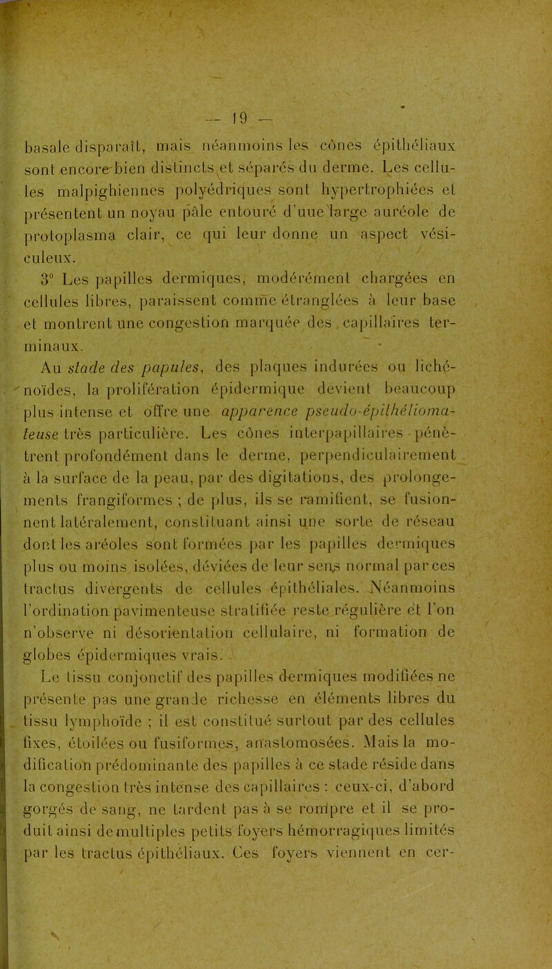 — 19 - basale clispciraît, mais neanmoins les cônes éj)itliéliaux sont encore'bien distincts cl séparés du derme. Les cellu- les malpighiennes polyédrifjucs sont hypertrophiées et j)résentent un noyau prde entouré d’uuc large auréole de protoplasma clair, ce (|ui leur donne un aspect vési- culeux. 3“ Les papilles dermiques, modérément chargées en cellules libres, paraissent comme étranglées à leur hase et montrent une congestion maiajuée des caj)illaircs ter- minaux. Au slade des papules, des plaques indurées ou liché- noïdes, la prolifération épidermique devient beaucoup [)lus intense et offre une apparence pseiido-épilhélioma- /e«se très particulière. Les cônes interpapillaires |)énè- trenl profondément dans le derme, perpendiculairement à la surface de la peau, par des digitations, des prolonge- ments frangiformes ; de plus, ils se ramiüent, se fusion- nent latéralement, constituant ainsi une sorte de réseau dont les ai’éoles sont lormées parles paj)illes dermiques plus ou moins isolées, déviées de leur seii;s normal par ces tractus divergents de cellules épithéliales. jSéanmoins l’ordination pavimenteuse stratifiée reste régulière et l’on n’ohservc ni désorientation cellulaire, ni formation de globes épidermiques vrais. Le tissu conjonctif des j)apilles dermiques modifiées ne présente pas une grande richesse en éléments libres du tissu lymphoïde ; il est constitué surtout par des cellules fixes, étoilées ou fusiformes, anastomosées. Mais la mo- dification prédominante des pa])illes à ce stade réside dans la congestion très intense des CH])illaires ; ceux-ci, d’abord gorgés de sang, ne tardent pas à se ronipre et il se pro- duit ainsi demultiples petits foyers liémorragirpies limités par les tractus épithéliaux. Ces foyers viennent en cer-