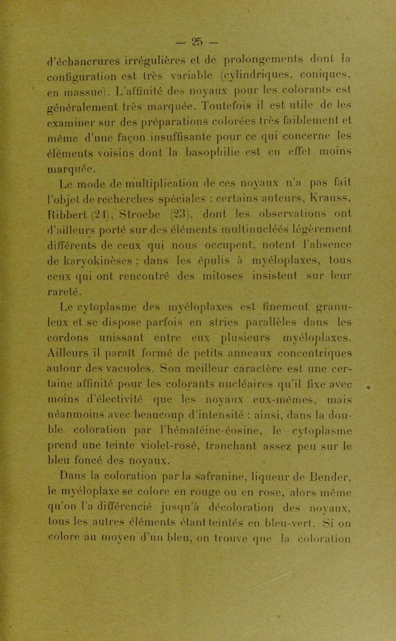 d’échancrures irrégulières et de prolongements dont la configuration est très variable (cylindriques, coniques, en massue). L’affinité des noyaux pour les colorants est généralement très marquée. Toutefois il est utile de les examiner sur des préparations colorées très faiblement et même d’une façon insuffisante pour ce qui concerne les éléments voisins dont la basophilie est en effet moins marquée. Le mode de multiplication de ces noyaux n’a pas fait l’objet de recherches spéciales : certains auteurs, Krauss, Hibbert (21), Stroebe (23), dont les observations ont d’ailleurs porté sur des éléments multinucléés légèrement différents de ceux qui nous occupent, notent l’absence de karyokinèses ; dans les épulis à myéloplaxes, tous ceux qui ont rencontré des mitoses insistent sur leur rareté. Le cytoplasme des myéloplaxes est finement granu- leux et se dispose parfois en stries parallèles dans les cordons unissant entre eux plusieurs myéloplaxes. Ailleurs il paraît formé de petits anneaux concentriques autour des vacuoles. Son meilleur caractère est une cer- taine affinité pour les colorants nucléaires qu'il fixe avec moins d’électivité que les noyaux eux-mêmes, mais néanmoins avec beaucoup d’intensité : ainsi, dans la dou- ble coloration par l’hémaléine-éosine, le cytoplasme prend une teinte violet-rosé, tranchant assez peu sur le bleu foncé des noyaux. Dans la coloration parla safranine, liqueur de Bender, le myéloplaxese colore en rouge ou en rose, alors même qu on 1 a difJérencié jusqu à décoloration des noyaux, tous les autres éléments étant teintés en bleu-vert. Si on colore au moyen d un bleu, on trouve que la coloration