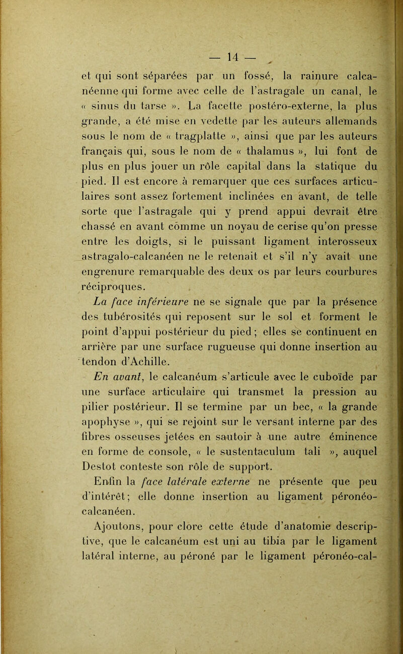 et qui sont séparées par un fossé, la rainure calca- néenne qui forme avec celle de l’astragale un canal, le « sinus du tarse ». La facette postéro-externe, la plus grande, a été mise en vedette par les auteurs allemands sous le nom de « tragplatte », ainsi que par les auteurs français qui, sous le nom de « thalamus », lui font de plus en plus jouer un rôle capital dans la statique du pied. Il est encore à remarquer que ces surfaces articu- laires sont assez fortement inclinées en avant, de telle sorte que l’astragale qui y prend appui devrait être chassé en avant comme un noyau de cerise qu’on presse entre les doigts, si le puissant ligament interosseux astragalo-calcanéen ne le retenait et s’il n’y avait une engrenure remarquable des deux os par leurs courbures réciproques. La face inférieure ne se signale que par la présence des tubérosités qui reposent sur le sol et forment le point d’appui postérieur du pied ; elles se continuent en arrière par une surface rugueuse qui donne insertion au tendon d’Achille. En avant, le calcanéum s’articule avec le cuboïde par une surface articulaire qui transmet la pression au pilier postérieur. Il se termine par un bec, « la grande apophyse », qui se rejoint sur le versant interne par des fibres osseuses jetées en sautoir à une autre éminence en forme de console, « le sustentaculum tali », auquel Destot conteste son rôle de support. Enfin la face latérale externe ne présente que peu d’intérêt; elle donne insertion au ligament péronéo- calcanéen. Ajoutons, pour clore cette étude d’anatomie descrip- tive, que le calcanéum est uni au tibia par le ligament latéral interne, au péroné par le ligament péronéo-cal-