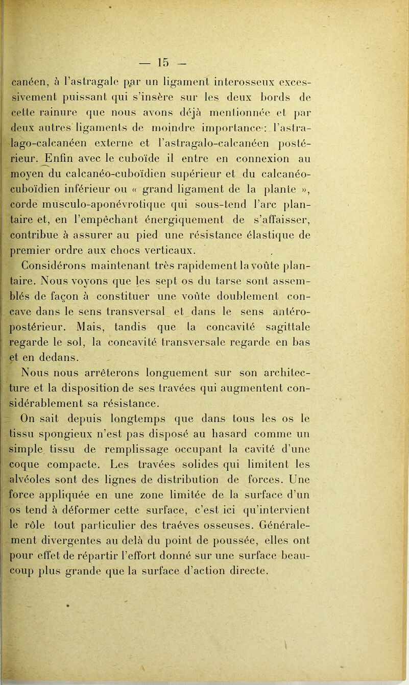 canéen, à l’astragale p,ar un ligament interossenx exces- sivement puissant qui s’insère sur les deux bords de cette rainure que nous avons déjà mentionnée et par deux autres ligaments de moindre importance : l’astra- lago-calcanéen externe et l’astragalo-calcanéen posté- rieur. Enfin avec le cuboïde il entre en connexion au moyen du calcanéo-cuboïdien supérieur et du calcanéo- cuboïdien inférieur ou « grand ligament de la plante », corde musculo-aponévrotique qui sous-tend l’arc plan- taire et, en l’empêchant énergiquement de s’affaisser, contribue à assurer au pied une résistance élastique de premier ordre aux chocs verticaux. Considérons maintenant très rapidement la voûte })lan- taire. Nous voyons que les sept os du tarse sont assem- blés de façon à constituer une voûte doublement con- cave dans le sens transversal et dans le sens antéro- postérieur. Mais, tandis que la concavité sagittale regarde le sol, la concavité transversale regarde en bas et en dedans. Nous nous arrêterons longuement sur son architec- ture et la disposition de ses travées qui augmentent con- sidérablement sa résistance. On sait depuis longtemps que dans tous les os le tissu spongieux n’est pas disposé au hasard comme un simple, tissu de remplissage occupant la cavité d’une coque compacte. Les travées solides qui limitent les alvéoles sont des lignes de distribution de forces. Une force appliquée en une zone limitée de la surface d’un os tend à déformer cette surface, c’est ici qu’intervient le rôle tout particulier des traéves osseuses. Générale- ment divergentes au delà du point de poussée, elles ont pour effet de répartir l’effort donné sur une surface beau- coup plus grande que la surface d’action directe.