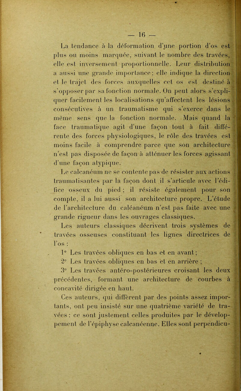 La tendance à la déformation d’une portion d’os est plus ou moins marquée, suivant le nombre des travées, elle est inversement proportionnelle. Leur distribution a aussi une grande importance; elle indique la direction et le trajet des forces auxquelles cet os est destiné à s’opposer par sa fonction normale. On peut alors s’expli- quer facilement les localisations qu’affectent les lésions consécutives à un traumatisme qui s’exerce dans le même sens que la fonction normale. Mais quand la face traumatique agit d’une façon tout à fait diffé- rente des forces physiologiques, le rôle des travées est moins facile à comprendre parce que son architecture n’est pas disposée de façon à atténuer les forces agissant d’une façon atypique. Le calcanéum ne se contente pas de résister aux actions traumatisantes par la façon dont il s’articule avec Lédi- fice osseux du pied ; il résiste également pour son compte, il a lui aussi son architecture propre. L’étude de l’architecture du caléanéum n’est pas faite avec une grande rigueur dans les ouvrages classiques. Les auteurs classiques décrivent trois systèmes de travées osseuses constituant les lignes directrices de l’os : 1“ Les travées obliques en bas et en avant; 2° Les travées obliques en bas et en arrière ; 3° Les travées antéro-postérieures croisant les deux précédentes, formant une architecture de courbes à concavité dirigée en haut. Ces auteurs, qui diffèrent par des points assez impor- tants, ont peu insisté sur une quatrième variété de tra- vées : ce sont justement celles produites par le dévelop- pement de l’épiphyse calcanéenne. Elles sont perpendicu-