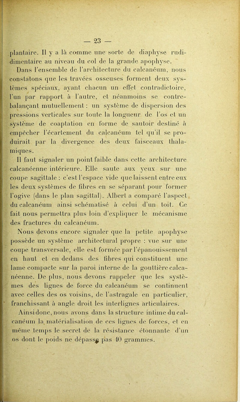 plantaire. Il y a là co-mme une sorte de diaphyse rudi- dimentaire au niveau du col de la grande apophyse. Dans l’ensemble de l’architecture du calcanéum, nous constatons que les travées osseuses forment deux sys- tèmes spéciaux, ayant chacun un effet contradictoire, l’un par rapport à l’autre, et néanmoins se contre- balançant mutuellement : un système de dispersion des pressions verticales sur toute la longueur de l’os et un système de coaptation en forme de sautoir destiné à empêcher l’écartement du calcanéum tel qu’il se pro- duirait par la divergence des deux faisceaux thala- miques. Il faut signaler un point faible dans cette architecture calcanéenne intérieure. Elle saute aux yeux sur une coupe sagittale: c’est l’espace vide que laissent entre eux les deux systèmes de fibres en se séparant pour former l’ogive (dans le plan sagittal). Alberta comparé l’aspect du calcanéum ainsi schématisé à celui d’un toit. Ce fait nous permettra plus loin d’expliquer le mécanisme des fractures du calcanéum. Nous devons encore signaler que la petite apophyse possède un système architectural propre : vue sur une coupe transversale, elle est formée par l’épanouissement en haut et en dedans des fibres qui constituent une lame compacte sur la paroi interne de la gouttière calca- néenne. De plus, nous devons rappeler que les systè- mes des lignes de force du calcanéum se continuent avec celles des os voisins, de l’astragale en particulier, franchissant à angle droit les interlignes articulaires. Ainsi donc, nous avons dans la structure intime du cal- canéum la matérialisation de ces lignes de forces, et en même temps le secret de la résistance étonnante d’un os dont le poids ne dépass^ pas 40 grammes.
