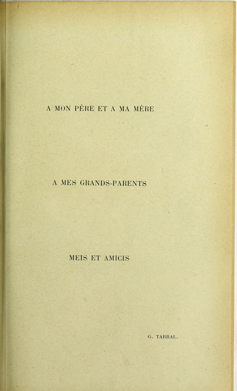 A MON PÈRE ET A MA MÈRE A MES GRANDS-PARENTS MEIS ET AMICIS