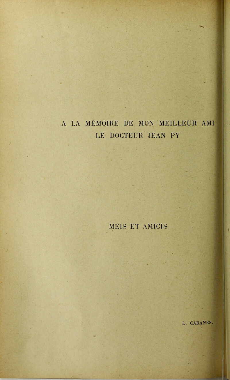 A LA MÉMOIRE DE MON MEILLEUR AMI LE DOCTEUR JEAN PY MEIS ET AMICIS