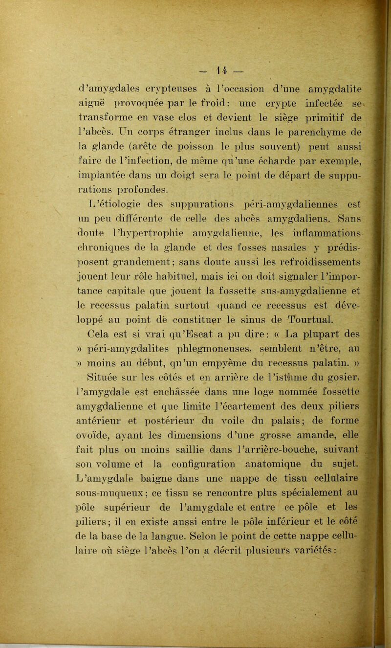 d’amygdales crypteuses à l’occasion d’une amygdalite aiguë provoquée par le froid : une crypte infectée se transforme en vase clos et devient le siège primitif de l’abcès. Un corps étranger inclus dans le parenchyme de la glande (arête de poisson le plus souvent) peut aussi faire de l’infection, de même qu’une écharde par exemple, implantée dans un doigt sera le point de départ de suppu- rations profondes. L’étiologie des suppurations péri-amygdaliennes est un peu différente de celle des abcès amygdaliens. Sans doute l’hypertrophie amygdalienne, les inflammations chroniques de la glande et des fosses nasales y prédis- posent grandement ; sans doute aussi les refroidissements jouent leur rôle habituel, mais ici on doit signaler l’impor- tance capitale que jouent la fossette sus-amygdalienne et le recessus palatin surtout quand ce recessus est déve- loppé au point dë constituer le sinus de Tourtual. Cela est si vrai qu’Escat a pu dire: « La plupart des » péri-amygdalites phlegmoneuses, semblent n’être, au » moins au début, qu’un empyème du recessus palatin. » Située sur les côtés et en arrière de l’isthme du gosier, l’amygdale est enchâssée dans une loge nommée fossette amygdalienne et que limite l’écartement des deux piliers antérieur et postérieur du voile du palais ; de forme ovoïde, ayant les dimensions d’une grosse amande, elle fait plus ou moins saillie dans l’arrière-bouche, suivant son volume et la configuration anatomique du sujet. L’amygdale baigne dans une nappe de tissu cellulaire sous-muqueux; ce tissu se rencontre plus spécialement au pôle supérieur de l’amygdale et entre ce pôle et les piliers ; il en existe aussi entre le pôle inférieur et le côté de la base de la langue. Selon le point de cette nappe cellu- laire où siège l’abcès l’on a décrit plusieurs variétés: AV