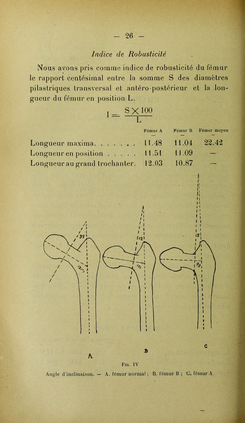 Indice de Robusticité Nous avons pris comme indice de robusticité du fémur le rapport centésimal entre la somme S des diamètres pilastriques transversal et antéro-postérieur et la lon- gueur du fémur en position L. T_ SX 100 Fémur A Fémur B Fémur moyen Longueur maxima 11.48 11.04 22.42 Longueur en position 11.51 11.09 — Longueur au grand trochanter. 12.03 10.87 — A B Fig. IV C Angle d’inclinaison. — A. fémur normal ; B. fémur B ; C. fémur A