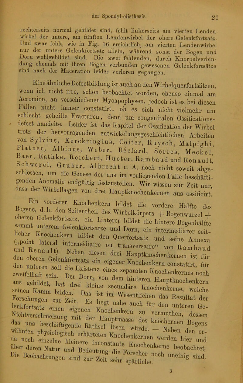 rochterseits normal gebildet sind, fplilt linkerseits am vierten Lenden- wirbel der untere, am fünften Lendenwirbel der obere Gelenkfortsatz. Und zwar fehlt, wie in Fig. 16 ersichtlich, am vierten Lendenwirbel nur der untere Gelenkfortsatz allein, während sonst der Bogen und Dorn wohlgebildet sind. Die zwei fehlenden, durch Knorpelverbin- dung ehemals mit ihren Bögen verbunden gewesenen Gelenkfortsätze sind nach der Maceration leider verloren gegangen. Eine ähnliche Defectbildung ist auch an den Wirbelquerfortsätzen, v\enn ich nicht irre, schon beobachtet worden, ebenso einmal am Acromion, an verschiedenen Myoapophysen, jedoch ist es bei diesen Fällen nicht immer constatirt, ob es sich nicht vielmehr um schlecht geheilte Fracturen, denn um congenitalen Ossifications- ' defect bandelte. Leider ist das Kapitel der Ossification der Wirbel trotz der hervorragenden entwickelungsgeschichtlichen Arbeiten von Sylvins, Kerckringius, Coiter, Ruysch, Malpighi, Platner, Albinua, Weber, Beclard, Serres, Meckel, aer, Rathke, Reichert, Hueter, Rambaud und Renault, Schwegel, Gruber, Albrecht u. A. noch nicht soweit abge- sc blossen, um die Genese der uns im vorliegenden Falle beschäfti- genden Anomalie endgültig festzustellen. Wir wissen zur Zeit nur, dass der Wirbelbogen von drei Hauptknochenkernen aus ossificirt. Ein vorderer Knochenkern bildet die vordere Hälfte des 2!renC ei 'b Sf e“theÜ deS WirbelIt8rPera + Bogenwurzel + ,n,t r fUnterer bildet die Bogenhälfte I ch« r? n Belenkfortsatze und Dorn, ein intermediärer seit- ( point lateraT inT ’ j— de“ Querfortaatz und seille Annexa u d Renault vT 7 ° t,ans™'saire“ Rambaud I ^enai“Y Neben diesen drei Hauptknochenkernen ist für den unteren'^olTdteE^t eige“er Knoch“ke™ ™nstatirt, für zweifelhaft sein D ^ ein6S separateu Rnochenkernes noch - “rh/Ä V°n de” ,hinto'Cn H“P‘k-chenkern seinen Kamm biUen Do r ^2 ° Kocheaka™a. welche Forschungen zur Zeit Es f ? das Kesultat der lenhfortsatz einen eigenen Knechte“IrZtkT1 ^ Ätaa ütt “nth Äsrrn über deren Natur und Bedeutung A’ r n°chenkerue beobachtet, Bie Beobachtungen °»d- 3