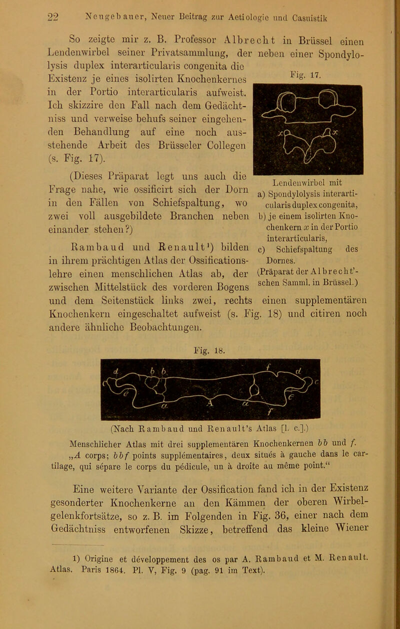 Fig. 17. So zeigte mir z. B. Professor Albrecht in Brüssel einen Lendenwirbel seiner Privatsammlung, der neben einer Spondylo- lysis duplex interarticularis congenita die Existenz je eines isolirten Knochenkernes in der Portio interarticularis aufweist. Ich skizzire den Fall nach dem Gedächt- niss und verweise behufs seiner eingehen- den Behandlung auf eine noch aus- stehende Arbeit des Brüsseler Collegen (s. Fig. 17). (Dieses Präparat legt uns auch die Frage nahe, wie ossificirt sich der Dorn in den Fällen von Schiefspaltung, wo zwei voll ausgebildete Branchen neben einander stehen?) Rambaud und Renault1) bilden in ihrem prächtigen Atlas der Ossifications- lelire einen menschlichen Atlas ab, der zwischen Mittelstück des vorderen Bogens und dem Seitenstück links zwei, rechts einen supplementären Knochenkern eingeschaltet aufweist (s. Fig. 18) und citiren noch andere ähnliche Beobachtungen. Lendenwirbel mit a) Spondylolysis interarti- cularis duplex congenita, b) je einem isolirten Kuo- chenkern x in der Portio interarticularis, c) Scbiefspaltung des Domes. (Präparat der Albrecht’- schen Samml. in Brüssel.) Fig. 18. (Nach Rambaud und Renault’s Atlas [1. c.].) Menschlicher Atlas mit drei supplementären Knochenkernen bb und f. „A corps; bbf points supplementaires, deux situes ä gauche dans le car- tilage, qui separe le corps du pedicule, un ä droite au meine point.“ Eine weitere Variante der Ossification fand ich in der Existenz gesonderter Knochenkerne an den Kämmen der oberen Wirbel- gelenkfortsätze, so z. B. im Folgenden in Fig. 36, einer nach dem Gedächtniss entworfenen Skizze, betreffend das kleine Wiener 1) Origine et developpement des os par A. Rambaud et M. Renault. Atlas. Paris 1864. PI. Y, Fig. 9 (pag. 91 im Text).