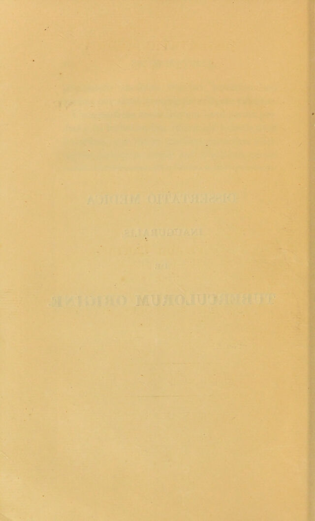 digitised image 2