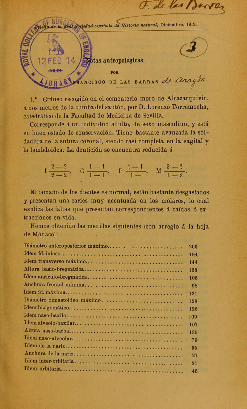 1.* Cráneo recogido en el cementerio moro de Alcazarquivir, á dos metros de la tumba del santón, por D. Lorenzo Torremocha, catedrático de la Facultad de Mediciua de Sevilla. Corresponde á un individuo adulto, de sexo masculino, y está en buen estado de conservación. Tiene bastante avanzada la sol- dadura de la sutura coronal, siendo casi completa en la sagital y la lambdoidea. La dentición se encuentra reducida á El tamaño de los dientes es normal, están bastante desgastados y presentan una caries muy acentuada en los molares, lo cual explica las faltas que presentan correspondientes á caídas ó ex- tracciones en vida. Hemos obtenido las medidas siguientes (con arreglo á la hoja de Mónaco): Diámetro anteroposterior máximo 200 Idem id. iníaco 194 Idem transverso máximo 144 Altura basio-bregmática 133 Idem aurículo-bregmática 106 Anchura frontal mínima 98 Idem id. máxima 121 Diámetro bimastoideo máximo j 28 Idem bizigomático ., 126 Idem naso-baxilar 109 Idem alveolo-baxilar 107 Altura naso-barbal. Idem naso-alveolar. Idem de la nariz..., Anchura de la nariz. Idem inter-orbitaria Idem orbitaria