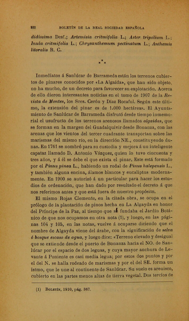 didissima Desf.; Artemisia critmifolia L.; Aster tripolium L.; Inula critmifolia L.; Chrysanthemum pectinatum L.; Anihemis litoralis R. G. * * ¥ Inmediatos á Sanlúcar de Barrameda están los terrenos cubier- tos de pinares conocidos por «La Algaida», que hau sido objeto, no ha mucho, de un decreto para favorecer su explotación. Acerca de ello dieron interesantes noticias en el tomo de 1907 de la Re- vista de Montes, los Sres. Cerón y Díaz Rocaful. Según este últi- mo, la extensión del pinar es de 1.000 hectáreas. El Ayunta- miento de Sanlúcar de Barrameda disfrutó desde tiempo inmemo- rial el usufructo de los terrenos arenosos llamados algaidas, que se forman en la margen del Guadalquivir desde Bonanza, con las arenas que los vientos del tercer cuadrante transportan sobre las marismas del mismo río, en la dirección NE., constituyendo du- nas. En 1761 se nombró para su custodia y mejora á un inteligente capataz llamado D. Antonio Vázquez, quien lo tuvo cincuenta y tres años, y á él se debe el que exista el pinar. Este está formado por el Pinus pinea L., habiendo un rodal de Pinus halepensis L., y también alguna encina, álamos blancos y eucaliptus moderna- mente. En 1900 se autorizó á un particular para hacer los estu- dios de ordenación, que han dado por resultado el decreto á que nos referimos antes y que está fuera de nuestro propósito. El mismo Rojas Clemente, eu la citada obra, se ocupa en el prólogo de la plantación de pinos hecha en La Algayda en honor del Príncipe de la Paz, al tiempo que si fundaba el Jardín Botá- nico de que nos ocupamos en otra nota (1), y luego, en las pági- nas 104 y 105, en las notas, vuelve á ocuparse diciendo que el nombre de Algayda viene del árabe, con la significación de selva ó bosque escaso de agua, y luego dice: «Terreno elevado y desigual que se extiende desde el puerto de Bonanza hacia el NO. de San- lúcar por el espacio de dos leguas, y cuya mayor anchura de Le- vante á Poniente es casi media legua; por estos dos puntos y por el del N. se halla rodeado de marismas y por el del SE. forma un istmo, que le une al continente de Sanlúcar. Su suelo es arenisco, cubierto en las partes menos altas de tierra vegetal. Dos tercios de (1) Boletín, 1910, pág. 367.