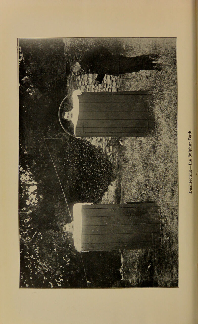 I Disinfecting—the Sulphur Bath