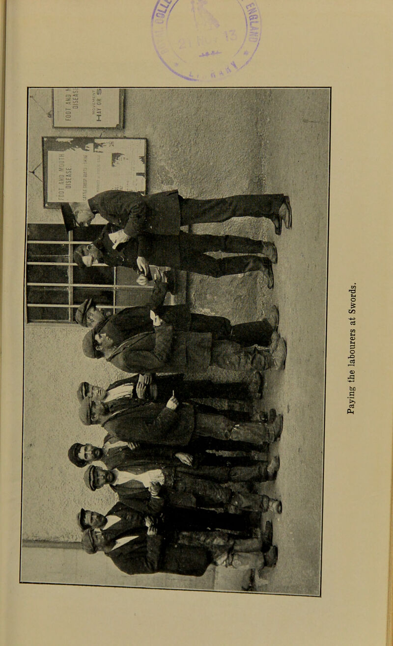 OISEASE. « 1 fOOT AND mi 1 OISE A Paying the labourers at Swords.