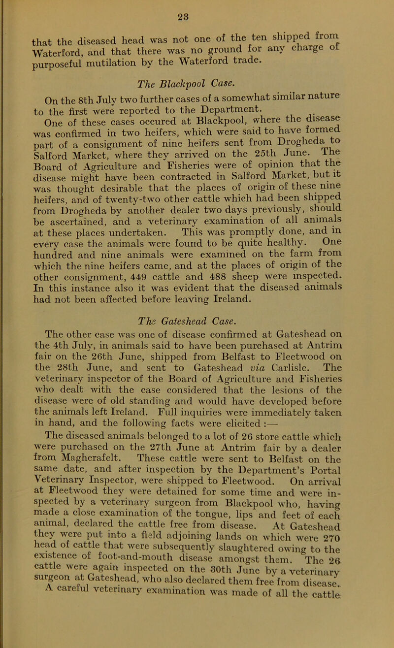 that the diseased head was not one of the ten shipped from Waterford, and that there was no ground for any charge ot purposeful mutilation by the Waterford trade. The Blackpool Case. On the 8th July two further cases of a somewhat similar nature to the first were reported to the Department. One of these cases occured at Blackpool, where the disease was confirmed in two heifers, which were said to have formed part of a consignment of nine heifers sent from Drogheda to Salford Market, where they arrived on the 25th June. The Board of Agriculture and Fisheries were of opinion that the disease might have been contracted in Salford Market, but it was thought desirable that the places of origin of these nine heifers, and of twenty-two other cattle which had been shipped from Drogheda by another dealer two days previously, should be ascertained, and a veterinary examination of all animals at these places undertaken. This was promptly done, and in every case the animals were found to be quite healthy. One hundred and nine animals were examined on the farm from which the nine heifers came, and at the places of origin of the other consignment, 449 cattle and 488 sheep were inspected. In this instance also it was evident that the diseased animals had not been affected before leaving Ireland. The Gateshead Case. The other case was one of disease confirmed at Gateshead on the 4th July, in animals said to have been purchased at Antrim fair on the 26th June, shipped from Belfast to Fleetwood on the 28th June, and sent to Gateshead via Carlisle. The veterinary inspector of the Board of Agriculture and Fisheries who dealt with the case considered that the lesions of the disease were of old standing and would have developed before the animals left Ireland. Full inquiries were immediately taken in hand, and the following facts were elicited :— The diseased animals belonged to a lot of 26 store cattle which were purchased on the 27th June at Antrim fair by a dealer from Magherafelt. These cattle were sent to Belfast on the same date, and after inspection by the Department’s Portal Veterinary Inspector, were shipped to Fleetwood. On arrival at Fleetwood they were detained for some time and were in- spected by a veterinary surgeon from Blackpool who, having made a close examination of the tongue, lips and feet of each animal, declared the cattle free from disease. At Gateshead they were put into a field adjoining lands on which were 270 head of cattle that were subsequently slaughtered owing to the existence of foot-and-mouth disease amongst them. The 26 cattle were again inspected on the 30th June by a veterinary surgeon at Gateshead, who also declared them free from disease* A careful veterinary examination was made of all the cattle