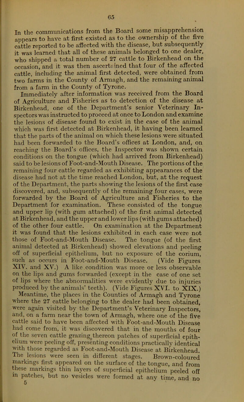 In the communications from the Board some misapprehension appears to have at first existed as to the ownership of the five cattle reported to be affected with the disease, but subsequently it was learned that all of these animals belonged to one dealer, who shipped a total number of 27 cattle to Birkenhead on the occasion, and it was then ascertained that four of the affected cattle, including the animal first detected, were obtained from two farms in the County of Armagh, and the remaining animal from a farm in the County of Tyrone. Immediately after information was received from the Board of Agriculture and Fisheries as to detection of the disease at Birkenhead, one of the Department’s senior Veterinary In- spectors was instructed to proceed at once to London and examine the lesions of disease found to exist in the case of the animal which was first detected at Birkenhead, it having been learned that the parts of the animal on which these lesions were situated had been forwarded to the Board’s offices at London, and, on reaching the Board’s offices, the Inspector was shown certain conditions on the tongue (which had arrived from Bii’kenhead) said to be lesions of Foot-and-Mouth Disease. The portions of the remaining four cattle regarded as exhibiting appearances of the disease had not at the time reached London, but, at the request of the Department, the parts showing the lesions of the first case discovered, and, subsequently of the remaining four cases, were forwarded by the Board of Agriculture and Fisheries to the Department for examination. These consisted of the tongue and upper lip (with gum attached) of the first animal detected at Birkenhead, and the upper and lower lips (with gums attached) of the other four cattle. On examination at the Department it was found that the lesions exhibited in each case were not those of Foot-and-Mouth Disease. The tongue (of the first animal detected at Birkenhead) showed elevations and peeling off of superficial epithelium, but no exposure of the corium, such as occurs in Foot-and-Mouth Disease. (Vide Figures XIV. and XV.) A like condition was more or less observable on the lips and gums forwarded (except in the case of one set of lips where the abnormalities were evidently due to injuries produced by the animals’ teeth). (Vide Figures XVI. to XIX.) Meantime, the places in the Counties of Armagh and Tyrone where the 27 cattle belonging to the dealer had been obtained, were again visited by the Department’s Veterinary Inspectors, and, on a farm near the town of Armagh, where one of the five cattle said to have been affected with Foot-and-Mouth Disease had come from, it was discovered that in the mouths of four of the seven cattle grazing thereon patches of superficial epith- elium were peeling off, presenting conditions practically identical with those regarded as Foot-and-Mouth Disease at Birkenhead. The lesions were seen in different stages. Brown-coloured markings first appeared on the surface of the tongue, and from these markings thin layers of superficial epithelium peeled off m patches, but no vesicles were formed at any time, and no