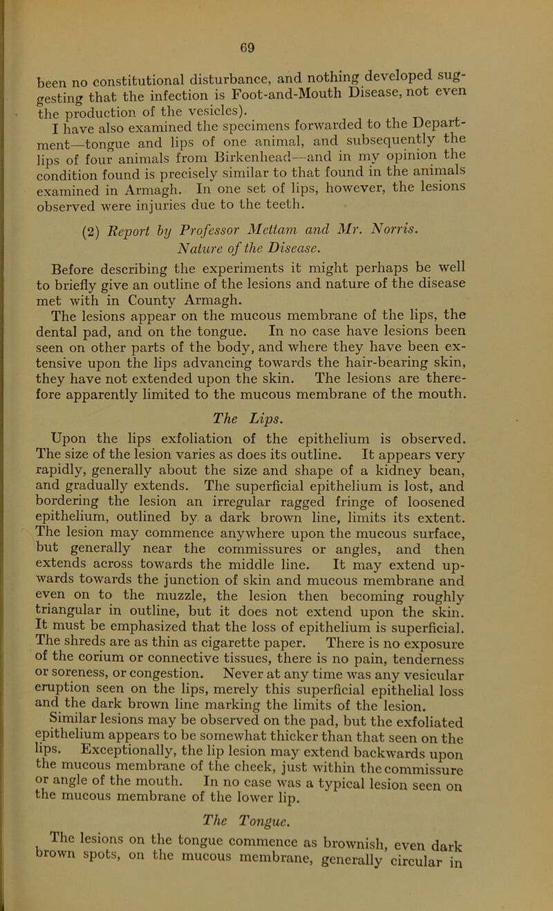 been no constitutional disturbance, and nothing developed sug- gesting that the infection is Foot-and-Mouth Disease, not even the production of the vesicles). I have also examined the specimens forwarded to the Depart- ment—tongue and lips of one animal, and subsequently the lips of four animals from Birkenhead—and in my opinion the condition found is precisely similar to that found in the animals examined in Armagh. In one set of lips, however, the lesions observed were injuries due to the teeth. (2) Report by Professor Mcttam and Mr. Norris. Nature of the Disease. Before describing the experiments it might perhaps be well to briefly give an outline of the lesions and nature of the disease met with in County Armagh. The lesions appear on the mucous membrane of the lips, the dental pad, and on the tongue. In no case have lesions been seen on other parts of the body, and where they have been ex- tensive upon the lips advancing towards the hair-bearing skin, they have not extended upon the skin. The lesions are there- fore apparently limited to the mucous membrane of the mouth. The Lips. Upon the lips exfoliation of the epithelium is observed. The size of the lesion varies as does its outline. It appears very rapidly, generally about the size and shape of a kidney bean, and gradually extends. The superficial epithelium is lost, and bordering the lesion an irregular ragged fringe of loosened epithelium, outlined by a dark brown line, limits its extent. The lesion may commence anywhere upon the mucous surface, but generally near the commissures or angles, and then extends across towards the middle line. It may extend up- wards towards the junction of skin and mucous membrane and even on to the muzzle, the lesion then becoming roughly triangular in outline, but it does not extend upon the skin. It must be emphasized that the loss of epithelium is superficial. The shreds are as thin as cigarette paper. There is no exposure of the corium or connective tissues, there is no pain, tenderness or soreness, or congestion. Never at any time was any vesicular eruption seen on the lips, merely this superficial epithelial loss and the dark brown line marking the limits of the lesion. Similar lesions may be observed on the pad, but the exfoliated epithelium appears to be somewhat thicker than that seen on the lips. Exceptionally, the lip lesion may extend backwards upon the mucous membrane of the cheek, just within the commissure or angle of the mouth. In no case was a typical lesion seen on the mucous membrane of the lower lip. The Tongue. The lesions on the tongue commence as brownish, even dark brown spots, on the mucous membrane, generally circular in