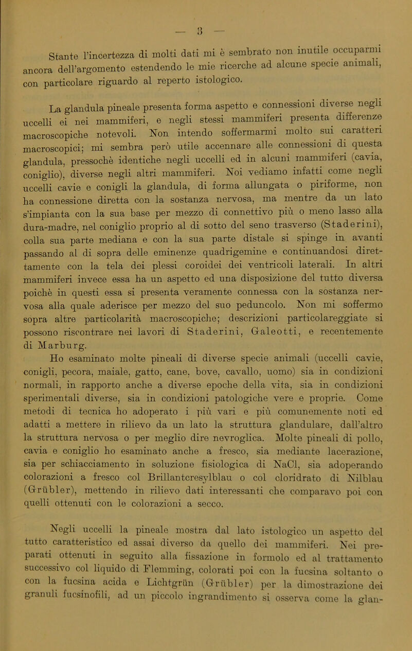 Stante l’incertezza di molti dati mi è sembrato non mutile occuparmi ancora dell’argomento estendendo le mie ricerche ad alcune specie animali, con particolare riguardo al reperto istologico. La gianduia pineale presenta forma aspetto e connessioni diverse negli uccelli ei nei mammiferi, e negli stessi mammiferi presenta differenze macroscopiche notevoli. Non intendo soffermarmi molto sui caratteri macroscopici; mi sembra però utile accennare alle connessioni di questa gianduia, pressoché identiche negli uccelli ed in alcuni mammiferi (cavia, coniglio), diverse negli altri mammiferi. Noi vediamo infatti come negli uccelli cavie e conigli la gianduia, di forma allungata o piriforme, non ha connessione diretta con la sostanza nervosa, ma mentre da un lato s’impianta con la sua base per mezzo di connettivo più o meno lasso alla dura-madre, nel coniglio proprio al di sotto del seno trasverso (Staderini), colla sua parte mediana e con la sua parte distale si spinge in avanti passando al di sopra delle eminenze quadrigemine e continuandosi diret- tamente con la tela dei plessi coroidei dei ventricoli laterali. In altri mammiferi invece essa ha un aspetto ed una disposizione del tutto diversa poiché in questi essa si presenta veramente connessa con la sostanza ner- vosa alla quale aderisce per mezzo del suo peduncolo. Non mi soffermo sopra altre particolarità macroscopiche; descrizioni particolareggiate si possono riscontrare nei lavori di Staderini, Galeotti, e recentemente di Marburg. Ho esaminato molte pineali di diverse specie animali (uccelli cavie, conigli, pecora, maiale, gatto, cane, bove, cavallo, uomo) sia in condizioni normali, in rapporto anche a diverse epoche della vita, sia in condizioni sperimentali diverse, sia in condizioni patologiche vere e proprie. Come metodi di tecnica ho adoperato i più vari e più comunemente noti ed adatti a mettere in rilievo da un lato la struttura glandolare, dall’altro la struttura nervosa o per meglio dire nevroglica. Molte pineali di pollo, cavia e coniglio ho esaminato anche a fresco, sia mediante lacerazione, sia per schiacciamento in soluzione fisiologica di NaCl, sia adoperando colorazioni a fresco col Brillantcresylblau o col cloridrato di Nilblau (Griibler), mettendo in rilievo dati interessanti che comparavo poi con quelli ottenuti con le colorazioni a secco. Negli uccelli la pineale mostra dal lato istologico un aspetto del tutto caratteristico ed assai diverso da quello dei mammiferi. Nei pre- parati ottenuti in seguito alla fissazione in formolo ed al trattamento successivo col liquido di Flemming, colorati poi con la fucsina soltanto o con la fucsina acida e Lichtgriin (Grùbler) per la dimostrazione dei granuli fucsinofili, ad un piccolo ingrandimento si osserva come la vlan- O