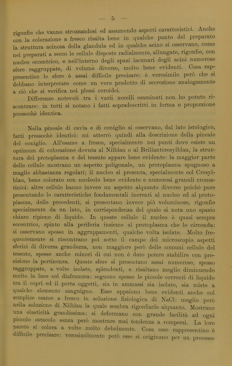 rigonfie che vanno strozzandosi ed assumendo aspetti caratteristici. Anche con la colorazione a fresco risalta bene in qualche punto del preparato la struttura acinosa della gianduia ed in qualche acino si osservano, come nei preparati a secco le cellule disposte radialmente, allungate, rigonfie, con nucleo eccentrico, e nell’interno degli spazi lacunari degli acini numerose sfere raggruppate, di volume diverso, molto bene evidenti. Cosa rap- presentino le sfere è assai difficile precisare: è verosimile però che si debbano interpretare come un vero prodotto di secrezione analogamente a ciò che si verifica nei plessi coroidei. Differenze notevoli tra i varii uccelli esaminati non ho potuto ri- scontrare: in tutti si notano i fatti sopradescritti in forma e proporzione pressoché identica. Nella pineale di cavia e di coniglio si osservano, dal lato istologico, fatti pressoché identici: mi atterrò quindi alla descrizione della pineale del coniglio. All’esame a fresco, specialmente nei punti dove esiste un optimum di colorazione dovuta al Nilblau o al Brillantcresylblau, la strut- tura del protoplasma e del tessuto appare bene evidente: la maggior parte delle cellule mostrano un aspetto poligonale, un protoplasma spugnoso a maglie abbastanza regolari; il nucleo si presenta, specialmente col Cresyl- blau, bene colorato con nucleolo bene evidente e numerosi granuli croma- tinici: altre cellule hanno invece un aspetto alquanto diverso poiché pure presentando le caratteristiche fondamentali inerenti al nucleo ed al proto- plasma, delle precedenti, si presentano invece più voluminose, rigonfie specialmente da un lato, in corrispondenza del quale si nota uno spazio chiaro ripieno di liquido. In queste cellule il nucleo è quasi sempre eccentrico, spinto alla periferia insieme al protoplasma che lo circonda: si osservano spesso in aggruppamenti, qualche volta isolate. Molto fre- quentemente si riscontrano poi sotto il campo del microscopio aspetti sferici di diversa grandezza, non maggiore però delle comuni cellule del tessuto, spesso anche minori di cui non è dato potere stabilire con pre- cisione la pertinenza. Queste sfere si presentano assai numerose, spesso raggruppate, a volte isolate, splendenti, e risaltano meglio diminuendo molto la luce col diaframma: seguono spesso le piccole correnti di liquido tra al copri ed il porta oggetti, sia in ammassi sia isolate, sia miste a qualche elemento sanguigno. Esse appaiono bene evidenti anche col semplice esame a fresco in soluzione fisiologica di NaCl: meglio però nella soluzione di Nilblau la quale sembra rigonfiarle alquanto. Mostrano una elasticità grandissima: si deformano con grande facilità ad ogni piccolo ostacolo senza però mostrare mai tendenza a rompersi. La loro narete si colora a volte molto debolmente. Cosa esse rappresentino é difficile precisare: verosimilmente però esse si originano per un processo