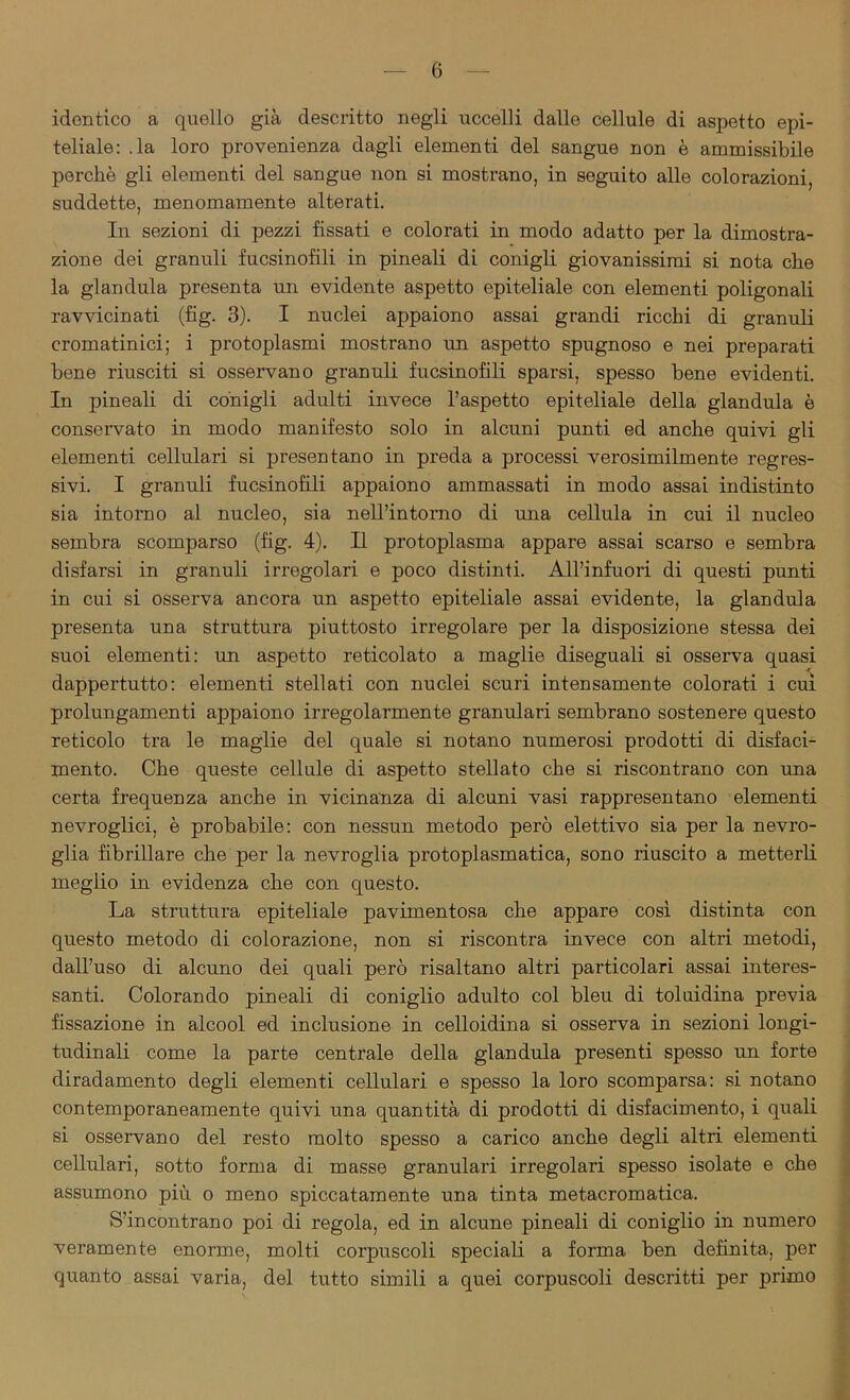 identico a quello già descritto negli uccelli dalle cellule di aspetto epi- teliale: .la loro provenienza dagli elementi del sangue non è ammissibile perchè gli elementi del sangue non si mostrano, in seguito alle colorazioni, suddette, menomamente alterati. In sezioni di pezzi fissati e colorati in modo adatto per la dimostra- zione dei granuli fucsinofili in pineali di conigli giovanissimi si nota che la gianduia presenta un evidente aspetto epiteliale con elementi poligonali ravvicinati (fig. 3). I nuclei appaiono assai grandi ricchi di granuli cromatinici; i protoplasmi mostrano un aspetto spugnoso e nei preparati bene riusciti si osservano granuli fucsinofili sparsi, spesso bene evidenti. In pineali di conigli adulti invece l’aspetto epiteliale della gianduia è conservato in modo manifesto solo in alcuni punti ed anche quivi gli elementi cellulari si presentano in preda a processi verosimilmente regres- sivi. I granuli fucsinofili appaiono ammassati in modo assai indistinto sia intorno al nucleo, sia nell’intorno di una cellula in cui il nucleo sembra scomparso (fig. 4). Il protoplasma appare assai scarso e sembra disfarsi in granuli irregolari e poco distinti. All’infuori di questi punti in cui si osserva ancora un aspetto epiteliale assai evidente, la gianduia presenta una struttura piuttosto irregolare per la disposizione stessa dei suoi elementi: un aspetto reticolato a maglie diseguali si osserva quasi dappertutto: elementi stellati con nuclei scuri intensamente colorati i cui prolungamenti appaiono irregolarmente granulari sembrano sostenere questo reticolo tra le maglie del quale si notano numerosi prodotti di disfaci- mento. Che queste cellule di aspetto stellato che si riscontrano con una certa frequenza anche in vicinanza di alcuni vasi rappresentano elementi nevroglici, è probabile: con nessun metodo però elettivo sia per la nevro- glia fibrillare che per la nevroglia protoplasmatica, sono riuscito a metterli meglio in evidenza che con questo. La struttura epiteliale pavimentosa che appare così distinta con questo metodo di colorazione, non si riscontra invece con altri metodi, dall’uso di alcuno dei quali però risaltano altri particolari assai interes- santi. Colorando pineali di coniglio adulto col bleu di toluidina previa fissazione in alcool ed inclusione in celloidina si osserva in sezioni longi- tudinali come la parte centrale della gianduia presenti spesso un forte diradamento degli elementi cellulari e spesso la loro scomparsa: si notano contemporaneamente quivi una quantità di prodotti di disfacimento, i quali si osservano del resto molto spesso a carico anche degli altri elementi cellulari, sotto forma di masse granulari irregolari spesso isolate e che assumono più o meno spiccatamente una tinta metacromatica. S’incontrano poi di regola, ed in alcune pineali di coniglio in numero veramente enorme, molti corpuscoli speciali a forma ben definita, per quanto assai varia, del tutto simili a quei corpuscoli descritti per primo