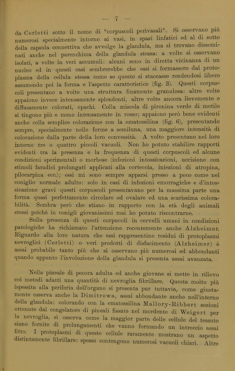 da Cerletti sotto il nome di “corpuscoli perivasali“. Si osservano piu numerosi specialmente intorno ai vasi, in spazi linfatici ed al di sotto della capsula connettiva che avvolge la gianduia, ma si trovano dissemi- nati anche nel parenchima della gianduia stessa: a volte si osservano isolati, a volte in veri accumuli: alcuni sono in diretta vicinanza di un nucleo ed in questi casi sembrerebbe che essi si formassero dal proto- plasma della cellula stessa come se questo si staccasse rendendosi libero assumendo poi la forma e l’aspetto caratteristico (fig. 3). Questi corpus- coli presentano a volte una struttura finamente granulosa: altre volte appaiono invece intensamente splendenti, altre volte ancora lievemente e diffusamente colorati, opachi. Colla miscela di pironina verde di metile si tingono più e meno intensamente in rosso; appaiono però bene evidenti anche colla semplice colorazione con la ematossilina (fig. 6), presentando sempre, specialmente nelle forme a semiluna, una maggiore intensità di colorazione dalla parte della loro convessità. A volte presentano nel loro interno tre o quattro piccoli vacuoli. Non ho potuto stabilire rapporti evidenti tra la presenza e la frequenza di questi corpuscoli ed alcune condizioni sperimentali o morbose (infezioni intossicazioni, uccisione con stimoli faradici prolungati applicati alla corteccia, iniezioni di atropina, pilocarpina ecc.); essi mi sono sempre apparsi presso a poco come nel coniglio normale adulto: solo in casi di infezioni emorragiche e d’intos- sicazione gravi questi corpuscoli presentavano per la massima parte una forma quasi perfettamente circolare od ovalare ed una scarissima colora- bilità. Sembra però che stiano in rapporto con la età degli animali stessi poiché in conigli giovanissimi mai ho potuto riscontrarne. Sulla presenza di questi corpucoli in cervelli umani in condizioni patologiche ha richiamato l’attenzione recentemente anche Alzheimer. Riguardo alla loro natura che essi rappresentino residui di protoplasmi nevroglici (Cerletti) o veri prodotti di disfacimento (Alzheimer) è assai probabile tanto più che si osservano più numerosi ed abbondanti quando appunto l’involuzione della gianduia si presenta assai avanzata. Nella pineale di pecora adulta ed anche giovane si mette in rilievo coi metodi adatti una quantità di nevroglia fibrillare. Questa molto più ispessita alla periferia dell’organo si presenta pur tuttavia, come giusta- mente osserva anche la Dimitrowa, assai abbondante anche nell’interno della gianduia: colorando con la ematossilina Mallory-Ribbert sezioni ottenute dal congelatore di pineali fissate nel mordente di Weigert. per la nevroglia, si osserva come la maggior parte delle cellule del tessuto siano fomite di prolungamenti che vanno formando un intreccio assai htto. I protoplasmi di queste cellule raramente mostrano un aspetto distintamente fibrillare: spesso contengono numerosi vacuoli chiari. Altre