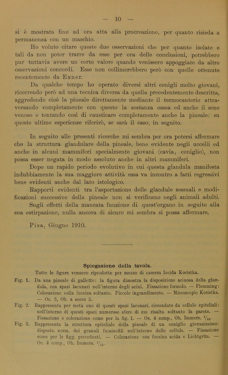 si è mostrata fino ad ora atta alla procreazione, per quanto risieda a permanenza con un maschio. Ho voluto citare queste due osservazioni che per quanto isolate e tali da non poter trarre da esse per ora delle conclusioni, potrebbero pur tuttavia avere un certo valore quando venissero appoggiate da altre osservazioni concordi. Esse non collimerebbero però con quelle ottenute recentemente da Exner. Da qualche tempo ho operato diversi altri conigli molto giovani, ricorrendo però ad una tecnica diversa da quella precedentemente descritta, aggredendo cioè la pineale direttamente mediante il termocauterio attra- versando completamente con questo la sostanza ossea ed anche il seno venoso e tentando così di causticare completamente anche la pineale: su queste ultime esperienze riferirò, se sarà il caso, in seguito. In seguito alle presenti ricerche mi sembra per ora potersi affermare che la struttura glandulare della pineale, bene evidente negli uccelli ed anche in alcuni mammiferi specialmente giovani (cavia, coniglio), non possa esser negata in modo assoluto anche in altri mammiferi. Dopo un rapido periodo evolutivo in cui questa gianduia manifesta indubbiamente la sua maggiore attività essa va incontro a fatti x-egressivi bene evidenti anche dal lato istologico. Rapporti evidenti tra l’asportazione delle glandule sessuali e modi- ficazioni successive della pineale non si verificano negli animali adulti. Sugli effetti della mancata funzione di quest’oi'gano in seguito alla sua estirpazione, nulla ancora di sicuro mi sembra si possa affermare. Pisa, Giugno 1910. Spiegazione della tavola. Tutte le figure vennero riprodotte per mezzo di camera lucida Koristka. Fig. 1. Da una pineale di galletto: la figura dimostra la disposizione acinosa della gian- duia, con spazi lacunari nell’interno degli acini. Fissazione formolo. — Flemming: Colorazione colla fucsina soltanto. Piccolo ingrandimento. — Microscopio Koristka. — Oc. 3, Ob. a secco 5. Fig. 2. Rappresenta per metà uno di questi spazi lacunari, circondato da cellule epiteliali: nell’interno di questi spazi numerose sfere di cui risalta soltanto la parete. — Fissazione e colorazione come per la fig. 1. — Oc. 4 comp., Ob. Immers. 1/16. Fig. 3. Rappresenta la struttura epiteliale della pineale di un coniglio giovanissimo: disposiz. norm. dei granuli fucsinofili nell’interno delle cellule. — Fissazione come per le figg. precedenti. — Colorazione cou fucsina acida e Licktgrun. — Oc. 4 comp., Ob. Immers. l/ia.