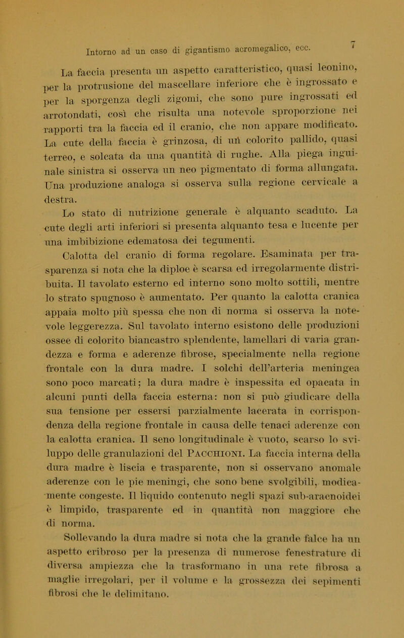 La faccia presenta un aspetto caratteristico, quasi leonino, per la profusione del mascellare inferiore che è ingrossato e per la sporgenza degli zigomi, che sono pure ingrossati ed arrotondati, così che risulta una notevole sproporzione nei rapporti tra la faccia ed il cranio, che non appare modificato. La cute della faccia è grinzosa, di ufi colorito pallido, quasi terreo, e solcata da una quantità di rughe. Alla piega ingui- nale sinistra si osserva un neo pigmentato di forma allungata. Una produzione analoga si osserva sulla regione cervicale a destra. Lo stato di nutrizione generale è alquanto scaduto. La cute degli arti inferiori si presenta alquanto tesa e lucente per una imbibizione edematosa dei tegumenti. Calotta del cranio di forma regolare. Esaminata per tra- sparenza si nota che la diploe è scarsa ed irregolarmente distri- buita. Il tavolato esterno ed interno sono molto sottili, mentre lo strato spugnoso è aumentato. Per quanto la calotta cranica appaia molto più spessa che non di norma si osserva la note- vole leggerezza. Sul tavolato interno esistono delle produzioni ossee di colorito biancastro splendente, lamellari di varia gran- dezza e forma e aderenze fibrose, specialmente nella regione frontale con la dura madre. I solchi dell’arteria meningea sono poco marcati; la dura madre è inspessita ed opacata in alcuni punti della faccia esterna: non si può giudicare della sua tensione per essersi parzialmente lacerata in corrispon- denza della regione frontale in causa delle tenaci aderenze con la calotta cranica. Il seno longitudinale è vuoto, scarso lo svi- luppo delle granulazioni del Pacchioni. La faccia interna della dura madre è liscia e trasparente, non si osservano anomale aderenze con le pie meningi, che sono bene svolgibili, modica- mente congeste. Il liquido contenuto negli spazi sub-araenoidei è limpido, trasparente ed in quantità non maggiore che di norma. Sollevando la. dura madre si nota che la grande falce ha un aspetto cribroso per la presenza di numerose fenestrature di diversa ampiezza che la trasformano in una rete fibrosa a maglie irregolari, per il volume e la grossezza dei sopimenti fibrosi che le delimitano.