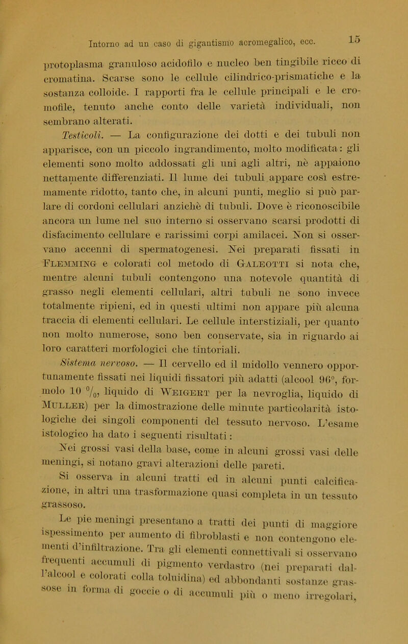 protoplasma granuloso acidofilo e nucleo ben tingibile ricco di cromatina. Scarse sono le cellule cilindrico-prismatiche e la sostanza colloide. I rapporti fra le cellule principali e le cro- mofile, tenuto anche conto delle varietà individuali, non sembrano alterati. Testicoli. — La configurazione dei dotti e dei tubidi non apparisce, con un piccolo ingrandimento, molto modificata : gli elementi sono molto addossati gli uni agli altri, nè appaiono nettamente differenziati. 11 lume dei tubuli appare così estre- mamente ridotto, tanto che, in alcuni punti, meglio si può par- lare di cordoni cellulari anziché di tubuli. Dove è riconoscibile ancora un lume nel suo interno si osservano scarsi prodotti di disfacimento cellulare e rarissimi corpi amilacei. Non si osser- vano accenni di spermatogenesi. Nei preparati fissati in Flemming e colorati col metodo di Galeotti si nota che, mentre alcuni tubuli contengono una notevole quantità di grasso negli elementi cellulari, altri tabuli ne sono invece totalmente ripieni, ed in questi ultimi non appare più alcuna traccia di elementi cellulari. Le cellule interstiziali, per quanto non molto numerose, sono ben conservate, sia in riguardo ai loro caratteri morfologici che tintoriali. Sistema nervoso. — Il cervello ed il midollo vennero oppor- tunamente fissati nei liquidi fissatori più adatti (alcool 90°, for- molo 10 %, liquido di Weigert per la nevroglia, liquido di Muller) per la dimostrazione delle minute particolarità isto- logiche dei singoli componenti del tessuto nervoso. L’esame istologico ha dato i seguenti risultati : Nei grossi vasi della base, come in alcuni grossi vasi delle meningi, si notano gravi alterazioni delle pareti. Si osserva in alcuni tratti ed in alcuni punti calcifica- zione, in altri una trasformazione quasi completa in un tessuto grassoso. Le pie meningi presentano a tratti dei punti di maggiore ispessimento pei aumento di fibroblasti e non contengono ele- menti d’mfiltrazione. Tra gli elementi connettivali si osservano frequenti accumuli di pigmento verdastro (nei preparati dal- 1 alcool e colorati colla toluidina) ed abbondanti sostanze gru- folimi di goccie o di accumuli più o meno irregolari,