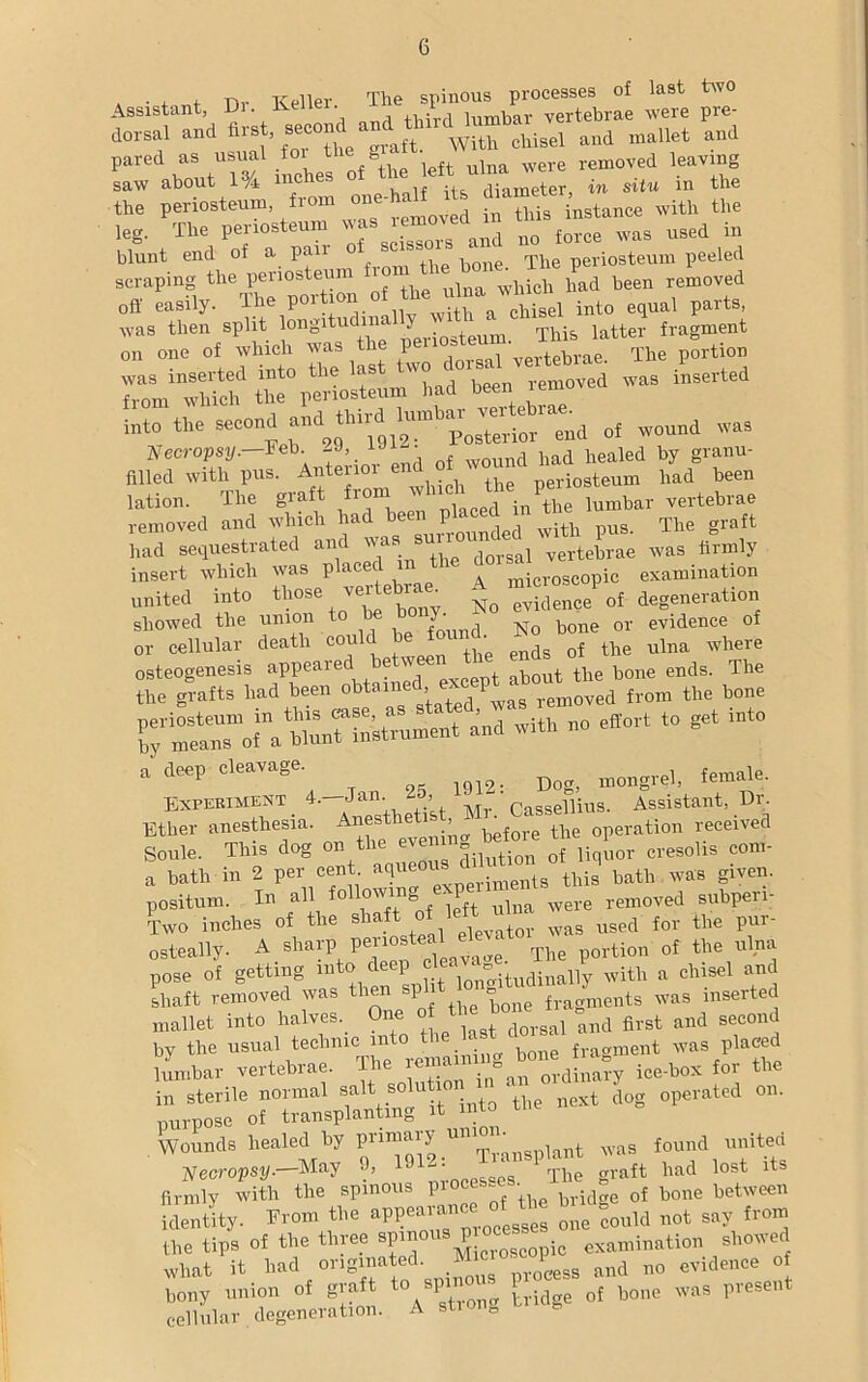 . . , , r„. Keller Tlie spinous processes of last two Assistant, Di. Keliei. i vertebrae were pre- <10—1 »“> Whh chisel and mallet and PC i^ri i “he. of^hf left ulna were removed leaving saw about 1 A . rl in meter iu situ in the the periosteum from one-haH >U dmmjt«„stimce „ith the leg. The periosteum was ' n0 force was used in blunt end of a pan periosteum peeled scraping the periosteum ^om the^hone.^^ P^ ^ removed off easily. The portion a chisel into equal parts, was then split ongitudim > This latter fragment on one of which was the perioateu The portion WS inSert6d int0 the second and third ffnnb^^ertebra^^ ^ ^ ^ JrS^rior end of w^nd 1^^ lation. The graft from ^^VSTlumbar vertebrae removed and which had beenwith pus. The graft had sequestrated an w. dorsal vertebrae was firmly insert which was placed microscopic examination united into thus, vertebr^ ^ ?ePof degeuerntion showed the union to / ^o bone or evidence of or cellular death could be found ^ ^ where osteogenesis appeared hct'”™ “' l u| the bone ends. The the grafts bad been obtained.1 “7;“°rem„ved from the bone ^ ”effort t0 set i”‘° a deep cleava0 1912: Dog, mongrel, female. Experiment 4. Jan. > Cassellius. Assistant, Dr. Ether anesthesia. Anestheti^ operation received Soule. This dog on the evem,1« f liqu0r cresolis com- a hath in 2 per cent aqueons c1 ^ts this' hath was given, positum. In al^f S Xa were removed subperi- Two inches of the shaft ol l^evator was USed for the pur- osteally. A sharp Perl0stea e The portion of the ulna pose of getting into deep L'^tudinally with a chisel and shaft removed was then sp » fragments was inserted mallet into halves. One ***£>n^ ^ ^ and second by the usual technic into the ‘ fragment was placed lumbar vertebrae. The ordinary ice-box for the in sterile normal sa!t solutm * next dog operated on. purpose of transplanting it mto Wounds healed by primary union. found united tfecropsff.-May 0, Juft bud lost it. firmly with the spinous 1 bridge of bone between identity. From the „„c eould not suy from the tips of the three =PT'%£““„pic examination showed what it had originated. M 1 and no evidence of Suy union of graft to spinous was present cellular degeneration. A stion„