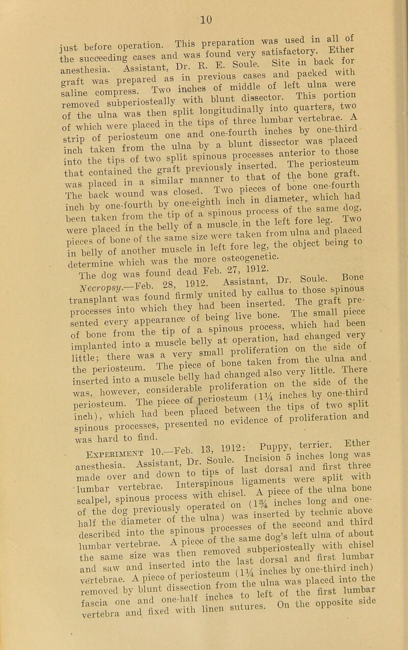 just before operation. This preparation was used in all of the succeeding eases »! '»“”> S‘sti„ back for anesthesia *«*?*»»• „vious case! a„d packed with graft was prepared as u^P ^ of ,eft „,lla were ?tn.p , , 1 frnm the uina by a blunt dissector was placed Zo the Dps Of two split spin^j> Presses anteriorJtoJto* r i £eb::.ss inch b^onT-fonrtli by^^onweigMi^intA^in^diaineter^wli^h liad^ were ptcTd'in’tbe Ml'y of a pieces of bone of the same site w e^taken iitem J t<> in belly of another muscle m left foie ie , j determine which was the more osteogenetm. I6 d°g, ^28,d m2 distant,' Dr. Soule. Bone transplant was found *The^graft^pw- processes into which they ia ^one. sruall piece sented every appearance o el. -process which had been of bone from the tip of asp0^ ^ changed very implanted into a muscle b j < P liferation on the side of little; there was a V^ S q{ ^ taken from the ulna and the periosteum, the piec , i very little. There inserted into a muscle belly had ch g ^ ^ side 0f the was, however, considerable pi ‘ inches by one-third periosteum. The piece of pJ two split iLtitr, ^cntrL^of Potion and was hard to find. Puppy, terrier. Ether EXPERIMENT Incision”5 inches long was anesthesia. Assistant, Di. ^ dorBal and first three made over and down p qus ligaments were split with •lumbar vertebiae. I 1 h hisel. A piece of the ulna bone scalpel, spinous process inches long and one- of the dog previously operated ^ teclmic above half the diameter of the u ) q{ the second and third described into the spinous 1 dog>s ]eft ulna of about lumbar vertebrae. A subperiosteally with chisel the same size was then ]agt dorsai and first lumbar and saw and inserted m ‘ inches by one-third inch) vertebrae. A piece of penosteum (1 A ^ ^ ^ int0 tto removed by blunt dissect! left 0f the first lumber liuen sutures. On the opposite side