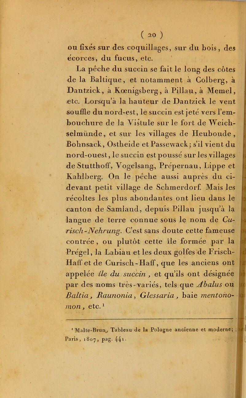 ou fixés sur des coquillages, sur du bois, des écorces, du fucus, etc. La pêche du succin se fait le long des côtes de la Baltique, et notamment à Colberg, à Dantzick, à Koenigsberg , à Pillau, à Memel, etc. Lorsqu’à la hauteur de Dantzick le vent souffle du nord-est, le succin est jeté vers l’em- bouohure de la Vis'tule sur le fort de Weich- selmünde, et sur les villages de Heuboude , Bobnsack, Ostheide etPassewack; s’il vient du nord-ouest, le succin est poussé sur les villages de Stutthoff, Yogelsang, Prépernau, Lippe et Kahlberg. On le pêche aussi auprès du ci- devant petit village de Schmerdorf. Mais les récoltes les plus abondantes ont lieu dans le canton de Samland, depuis Pillau jusqu’à la langue de terre connue sous le nom de Cu- risch-Nehrung. C’est sans doute cette fameuse contrée , ou plutôt cette île formée par la Prégel, la Labiau et les deux golfes de Frisch- Haff et de Curisch-Haff, que les anciens ont appelée île du succin , et qu’ils ont désignée par des noms très-variés, tels que Àbalus ou Baltia, Raunonia, Glessaria , baie mentono- mon, etc.1 ’ Malte-Brun., Tableau de la Pologne ancienne et moderne; Paris, 1807, pag. 44 1 •