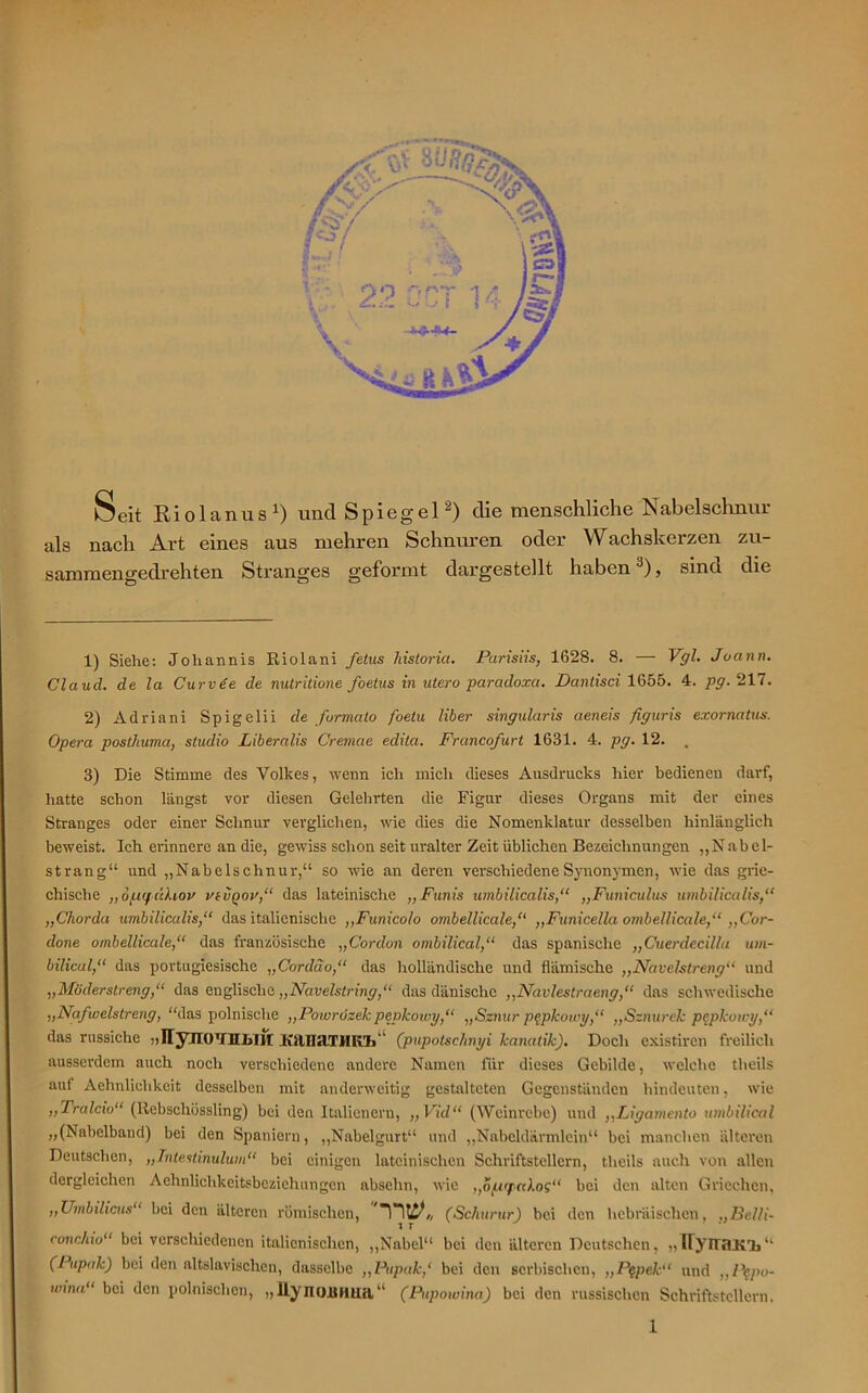 \ Seit Riolanus1) und Spiegel2) diemenschliche Nabelschnur als nach Art eines aus mehren Schnuren oder Wachskerzen zu- sammengedrehten Stranges geformt dargestellt haben3), sind die 1) Siehe: Johannis Riolani fetus liistoria. Parisiis, 1628. 8. — Vgl. Joann. Clciud. de la Curv6e de nutritione foetus in utero paradoxa. Dantisci 1655. 4. pg. 217. 2) Adriani Spigelii de formato foetu über singularis aeneis figuris exornatus. Opera posthuma, Studio Liberalis Cremae edila. Francofurt 1631. 4. pg. 12. , 3) Die Stimme des Volkes, wenn ich mich dieses Ausdrucks hier bedienen darf, f hatte schon längst vor diesen Gelehrten die Figur dieses Organs mit der eines Stranges oder einer Schnur verglichen, wie dies die Nomenklatur desselben hinlänglich beweist. Ich erinnere an die, gewiss schon seit uralter Zeit üblichen Bezeichnungen „Nabel- strang“ und „Nabelschnur,“ so wie an deren verschiedene Synonymen, wie das grie- chische „ oguf ähov vtvgov,“ das lateinische „Funis umbilicalis,“ „Funiculus umbilicalis,“ „Chorda umbilicalis,“ das italienische „Funicolo ombellicale,“ „Funicella ombellicale,“ „Cor- done ombellicale,“ das französische „Cordon ombilical,“ das spanische „Cuerdecilla um- bilical,“ das portugiesische „Cordäo,“ das holländische und flämische „Navelstreng“ und „Moderstreng,“ das englische „Navelstring,“ das dänische „Navlestraeng,“ das schwedische „Nafwelstreng, “das polnische „Powrozek pepkowy,“ „Sznur pqpkowy,“ „Sznureh pepkowy,“ das russiche „HynOTTHBIJC JvillKlTlHxli ' (pupotschnyi kanatik). Doch existircn freilich ausserdem auch noch verschiedene andere Namen für dieses Gebilde, welche theils auf Aehnlielikcit desselben mit anderweitig gestalteten Gegenständen hindeuten, wie „Tralcio“ (Rebschössling) bei den Italienern, „ Vid“ (Weinrebe) und „Ligamenta umbilical „(Nabelband) bei den Spaniern, „Nabelgurt“ und „Nabeldärmlein“ bei manchen älteren Deutschen, „Tnteslinulum“ bei einigen lateinischen Schriftstellern, theils auch von allen dergleichen Aehnlichkeitsbcziehnngen absehn, wie „o/zepakos“ bei den alten Griechen, „Umbilicus“ bei den älteren römischen, “HUk, (Schurur) bei den hebräischen, „Belli- conchio“ bei verschiedenen italienischen, „Nabel“ bei den älteren Deutschen, „ IlynaKl»“ (Pupak) bei den altslavisclicu, dasselbe „Pupak,‘ bei den serbischen, „P$pek“ und „ P§po- wina“ bei den polnischen, „HyilOJBHUH, “ (Pupowina) bei den russischen Schriftstellern.