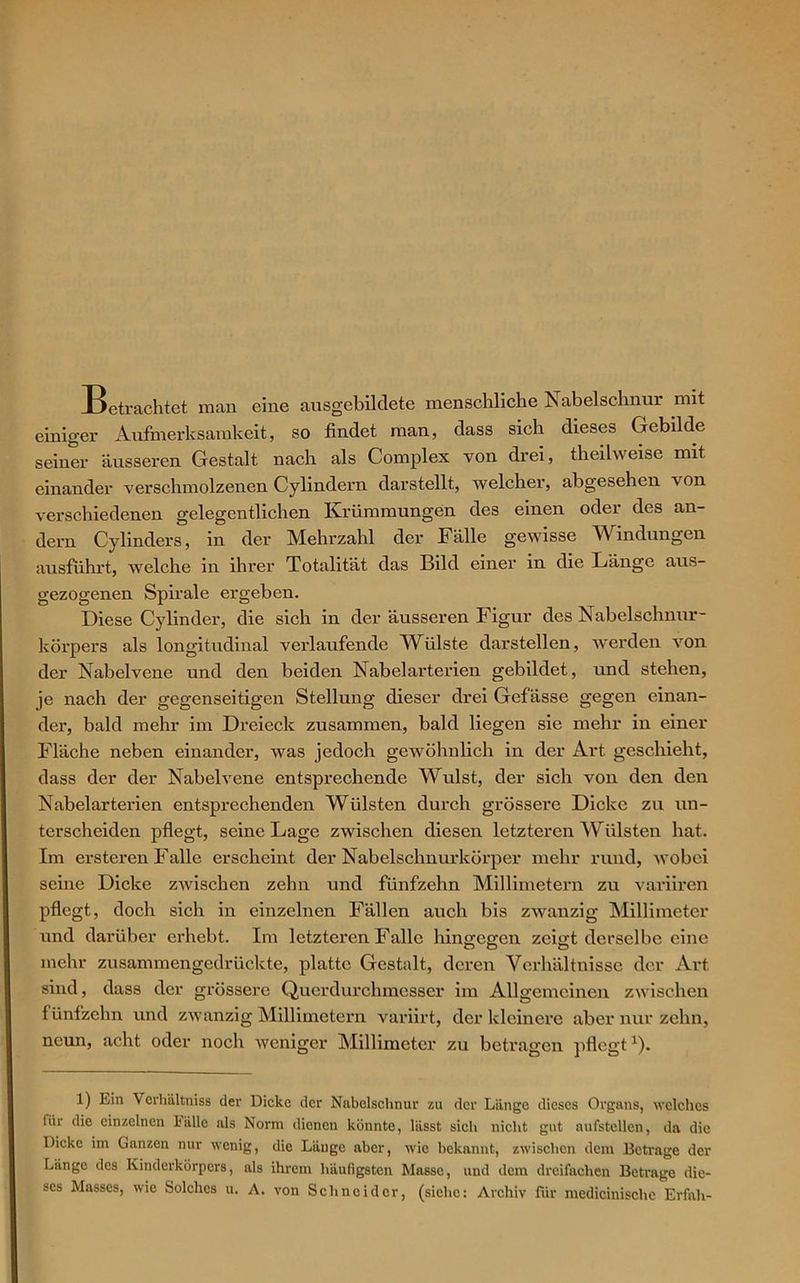 Betrachtet man eine ausgebildete menschliche Nabelschnur mit einiger Aufmerksamkeit, so findet man, dass sich dieses Gebilde seiner äusseren Gestalt nach als Complex von drei, theilweise mit einander verschmolzenen Cylindern darstellt, welcher, abgesehen von verschiedenen gelegentlichen Krümmungen des einen oder des an- dern Cylinders, in der Mehrzahl der Fälle gewisse Windungen ausfuhrt, welche in ihrer Totalität das Bild einer in die Länge aus- gezogenen Spirale ergeben. Diese Cylinder, die sich in der äusseren Figur des Nabelschnur- körpers als longitudinal verlaufende Wülste darstellen, werden von der Nabelvene und den beiden Nabelarterien gebildet, und stehen, je nach der gegenseitigen Stellung dieser drei Gefässe gegen einan- der, bald mehr im Dreieck zusammen, bald liegen sie mehr in einer Fläche neben einander, was jedoch gewöhnlich in der Art geschieht, dass der der Nabelvene entsprechende Wulst, der sich von den den Nabelarterien entsprechenden Wülsten durch grössere Dicke zu un- terscheiden pflegt, seine Lage zwischen diesen letzteren Wülsten hat. Im ersteren Falle erscheint der Nabelschnurkörper mehr rund, wobei seine Dicke zwischen zehn und fünfzehn Millimetern zu variiren pflegt, doch sich in einzelnen Fällen auch bis zwanzig Millimeter und darüber erhebt. Im letzteren Falle hingegen zeigt derselbe eine mehr zusammengedrückte, platte Gestalt, deren Verhältnisse der Art sind, dass der grössex-c Querdurchmesser im Allgemeinen zwischen fünfzehn und zwanzig Millimetern variirt, der kleinere aber nur zehn, neun, acht oder noch weniger Millimeter zu betragen pflegtx). 1) Ein Verliältniss der Dicke der Nabelschnur zu der Länge dieses Organs, welches liii die einzelnen I'idle als Norm dienen könnte, lässt sich nicht gut aufstellen, da die Dicke im Ganzen nur wenig, die Länge aber, wie bekannt, zwischen dem Betrage der Länge des Kinderkörpers, als ihrem häufigsten Masse, und dem dreifachen Betrage die- ses Hasses, wie Solches u. A. von Schneider, (siche: Archiv für medicinischc Erfüll-