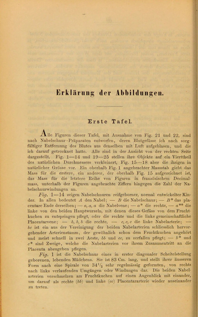 Erklärung (1er Abbildungen. Erste Tafel. -Alle Figuren dieser Tafel, mit Ausnahme von Fig. 21 und 22, sind nach Nabelschnur-Präparaten entworfen, deren Blutgefässe ich nach sorg- fältiger Entfernung des Blutes aus denselben mit Luft aufgeblasen, und die ich darauf getrocknet hatte. Alle sind in der Ansicht von der rechten Seite dargestellt. Fig. 1—14 und 19—25 stellen ihre Objekte auf ein Yierttheil des natürlichen Durchmessers verkleinert, Fig. 15—18 aber die ihrigen in natürlicher Grösse vor. Ein oberhalb Fig. 1 angebrachter Massstab giebt das Mass für die erstere, ein anderer, der oberhalb Fig. 15 aufgezeichnet ist, das Mass für die letztere Reihe von Figuren in französischem Decimal- mass, unterhalb der Figuren angebrachte Ziffern hingegen die Zahl der Na- belschnurwindungen an. Fig. 1—14 zeigen Nabelschnüren reifgeborner, normal entwickelter Kin- der. In allen bedeutet A den Nabel; — B die Nabelschnur;— B* das pla- centare Ende derselben; — a, a, a die Nabelvene; — a* die rechte, — a** die linke von den beiden Hauptwurzeln, mit denen dieses Gefäss von dem Frucht- kuchen zu entspringen poflegt, oder die rechte und die linke gemeinschaftliche Placentarvene; — b,b,b die rechte, — c, c, c die linke Nabelarterie; •— bc ist ein aus der Vereinigung der beiden Nabelarterien schliesslich hervor- gehender Arterienstamm, der gewöhnlich schon dem Fruchtkuchen angehört und meist schnell in zwei Aeste, bb und cc, zu zerfallen pflegt; — b* und c* sind Zweige, welche die Nabelarterien vor ihrem Zusammentritt an die Placenta abzugeben pflegen. Fig. 1 ist die Nabelschnur eines in erster diagonaler Scheitelstellung geborenen, lebenden Mädchens. Sie ist 83 Cm. lang, und stellt ihrer äusseren Form nach eine Spirale von 34V2 sehr regelmässig geformten, von rechts nach links verlaufenden Umgängen oder Windungen dar. Die beiden Nabel- I art.erien verschmelzen am Fruchtkuchen auf einen Augenblick mit einander, ! um darauf als rechte (bb) und linke (cc) Placentararterie wieder auseinander j zu treten.