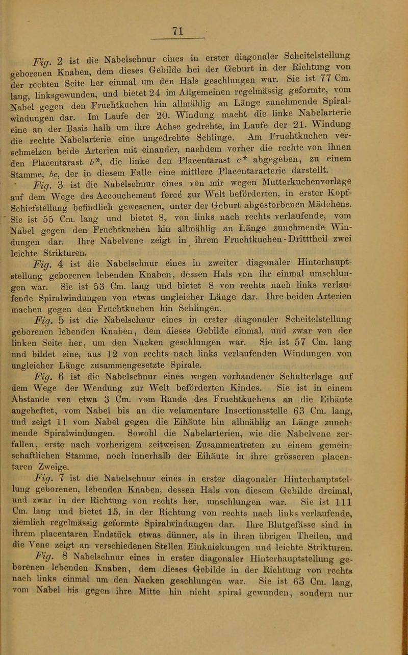 Fia. 2 ist die Nabelschnur eines in erster diagonaler Sclieitelstellung geborenen Knaben, dem dieses Gebilde bei der Geburt in der Richtung von der rechten Seite her einmal um den Hals geschlungen war. Sie ist 77 Im. lang, linksgewunden, und bietet 24 im Allgemeinen regelmässig geformte, vom Nabel ge°-en den Fruchtkuchen hin allmählig an Länge zunehmende Spiral- windungen dar. Im Laufe der 20. Windung macht die linke Nabelarterie eine an der Basis halb um ihre Achse gedrehte, im Laufe der 21. Windung die rechte Nabelarterie eine uugedrelite Schlinge. Am Fruchtkuchen ver- schmelzen beide Arterien mit einander, nachdem vorher die rechte von ihnen den Placentarast b*, die linke den Placentarast c* abgegeben, zu einem Stamme, bc, der in diesem Falle eine mittlere Placentararterie darstellt. Fiq. 3 ist die Nabelschnur eines von mir wegen Mutterkuchenvorlage auf dem Wege des Accouchement force zur Welt beförderten, in erster Kopf- Schiefstellung befindlich gewesenen, unter der Geburt abgestorbenen Mädchens. ' Sie ist 55 Cm. lang und bietet 8, von links nach rechts verlaufende, vom Nabel gegen den Fruchtkuchen hin allmählig an Länge zunehmende Win- dungen dar. Ihre Nabelvene zeigt in ihrem Fruchtkuchen - Dritttheil zwei leichte Strikturen. Fig. 4 ist die Nabelschnur eines in zweiter diagonaler Hinterliaupt- stellung geborenen lebenden Knaben, dessen Hals von ihr einmal umschlun- gen war. Sie ist 53 Cm. lang und bietet 8 von rechts nach links verlau- fende Spiralwindungen von etwas ungleicher Länge dar. Ihre beiden Arterien machen gegen den Fruchtkuchen hin Schlingen. Fig. 5 ist die Nabelschnur eines in erster diagonaler Sclieitelstellung geborenen lebenden Knaben, dem dieses Gebilde einmal, und zwar von der linken Seite her, um den Nacken geschlungen war. Sie ist 57 Cm. lang und bildet eine, aus 12 von rechts nach links verlaufenden Windungen von ungleicher Länge zusammengesetzte Spirale. Fig. 6 ist die Nabelschnur eines wegen vorhandener Schulterlage auf dem Wege der Wendung zur Welt beförderten Kindes. Sie ist in einem Abstande von etwa 3 Cm. vom Rande des Fruchtkuchens an die Eihäute angeheftet, vom Nabel bis an die velamentare Insertionsstelle 63 Cm. lang, und zeigt 11 vom Nabel gegen die Eihäute hin allmählig an Länge zuneh- mende Spiralwindungen. Sowohl die Nabelarterien, wie die Nabelvene zer- fallen, erste nach vorherigem zeitweisen Zusammentreten zu einem gemein- schaftlichen Stamme, noch innerhalb der Eihäute in ihre grösseren plaeen- tarcn Zweige. Fig. 7 ist die Nabelschnur eines in erster diagonaler Hiuterliauptstel- lung geborenen, lebenden Knaben, dessen Hals von diesem Gebilde dreimal, und zwar in der Richtung von rechts her, umschlungen war. Sie ist 111 Cm. lang und bietet 15, in der Richtung von rechts nach links verlaufende, ziemlich regelmässig geformte Spiralwindungen dar. Ihre Blutgefässe sind in ihrem placentaren Endstück etwas dünner, als in ihren übrigen Theilen, und die 1 ene zeigt an verschiedenen Stellen Einknickungen und leichte Strikturen. Fig. 8 Nabelschnur eines in erster diagonaler Ilintorhauptstellung ge- borenen lebenden Knaben, dem dieses Gebilde in der Richtung von rechts nach links einmal um den Nacken geschlungen war. Sie ist 63 Cm. lang, vom Nabel bis gegen ihre Mitte hin nicht spiral gewunden, sondern nur