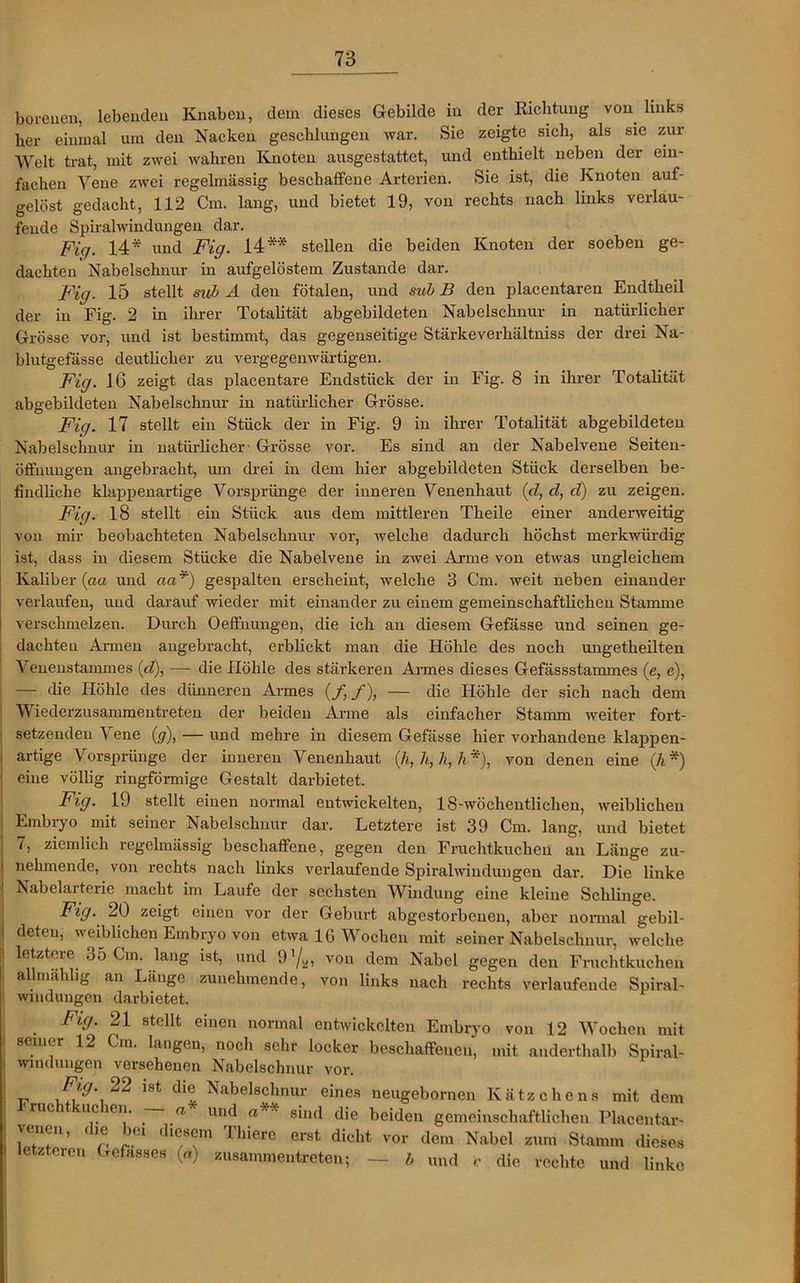 bereuen, lebenden Knaben, dein dieses Gebilde in der Richtung von links her einmal um den Nacken geschlungen war. Sie zeigte sich, als sie zur Welt trat, mit zwei wahren Knoten ausgestattet, und enthielt neben der ein- fachen Vene zwei regelmässig beschaffene Arterien. Sie ist, die Knoten auf- gelöst gedacht, 112 Cm. lang, und bietet 19, von rechts nach links verlau- fende Spiralwindungen dar. Fic/. 14* und Fig. 14** stellen die beiden Knoten der soeben ge- dachten' Nabelschnur in aufgelöstem Zustande dar. Fig. 15 stellt sub A den fötalen, und sub B den placentaren Endtheil der in Fig. 2 in ihrer Totalität abgebildeten Nabelschnur in natürlicher Grösse vor, und ist bestimmt, das gegenseitige Stärkeverhältniss der drei Na- blutgefässe deutlicher zu vergegenwärtigen. Fig. 16 zeigt das placentare Endstück der in Fig. 8 in ihrer Totalität abgebildeten Nabelschnur in natürlicher Grösse. Fig. 17 stellt ein Stück der in Fig. 9 in ihrer Totalität abgebildeteu Nabelschnur in natürlicher' Grösse vor. Es sind an der Nabelvene Seiten- öffnungen angebracht, um drei in dem hier abgebildeten Stück derselben be- findliche klappenartige Vorsprünge der inneren Venenhaut (d, d, d) zu zeigen. Fig. 18 stellt ein Stück aus dem mittleren Theile einer anderweitig von mir beobachteten Nabelschnur vor, welche dadurch höchst merkwürdig ist, dass in diesem Stücke die Nabelvene in zwei Anne von etwas ungleichem Kaliber (aa und aa*) gespalten erscheint, welche 3 Cm. weit neben einander verlaufen, und darauf wieder mit einander zu einem gemeinschaftlichen Stamme verschmelzen. Durch Oeffnungeu, die ich an diesem Gefässe und seinen ge- . dachten Armen angebracht, erblickt man die Höhle des noch ungetheilten Venenstammes (d), — die Höhle des stärkeren Armes dieses Gefässstammes (e, e), — die Höhle des dünneren Armes (_/, f), — die Höhle der sich nach dem Wiederzusammentreten der beiden Arme als einfacher Stamm weiter fort- setzendeu Vene (g), — und mehre in diesem Gefässe hier vorhandene klappen- i artige Vorsprünge der inneren Venenhaut (h,h,h,h *), von denen eine (h *) j eine völlig ringförmige Gestalt darbietet. Fig. 19 stellt einen normal entwickelten, 18-wöchentlichen, weiblichen ' Embryo mit seiner Nabelschnur dar. Letztere ist 39 Cm. lang, und bietet ; 7, ziemlich regelmässig beschaffene, gegen den Fruchtkuchen an Länge zu- i nehmende, von rechts nach links verlaufende Spiralwiudungen dar. Die linke ! Nabelarterie macht im Laufe der sechsten Windung eine kleine Schlinge. Fig. 20 zeigt einen vor der Geburt abgestorbenen, aber normal gebil- i deten, weiblichen Embryo von etwa 16 Wochen mit seiner Nabelschnur, welche i letztere 35 Cm. lang ist, und 9 ’/j,, von dem Nabel gegen den Fruchtkuchen allmahlig an Länge zunehmende, von links nach rechts verlaufende Spiral- wmdungen darbietet. Fig. 21 stellt einen normal entwickelten Embryo von 12 Wochen mit seiner 12 Cm. langen, noch sehr locker beschaffenen, mit anderthalb Spiral- wmdungen versehenen Nabelschnur vor. Fig. 22 ist die Nabelschnur eines neugebornen Kätzchens mit dem iuc uc ien. n und a** sind die beiden gemeinschaftlichen Placentar- i r;1?’ dln £ei di08Cm Thierc erst dieht vor dGm Nabel zum Stamm dieses I letzteren Gefasscs (a) zusammentreten; — b und c die rechte und linke